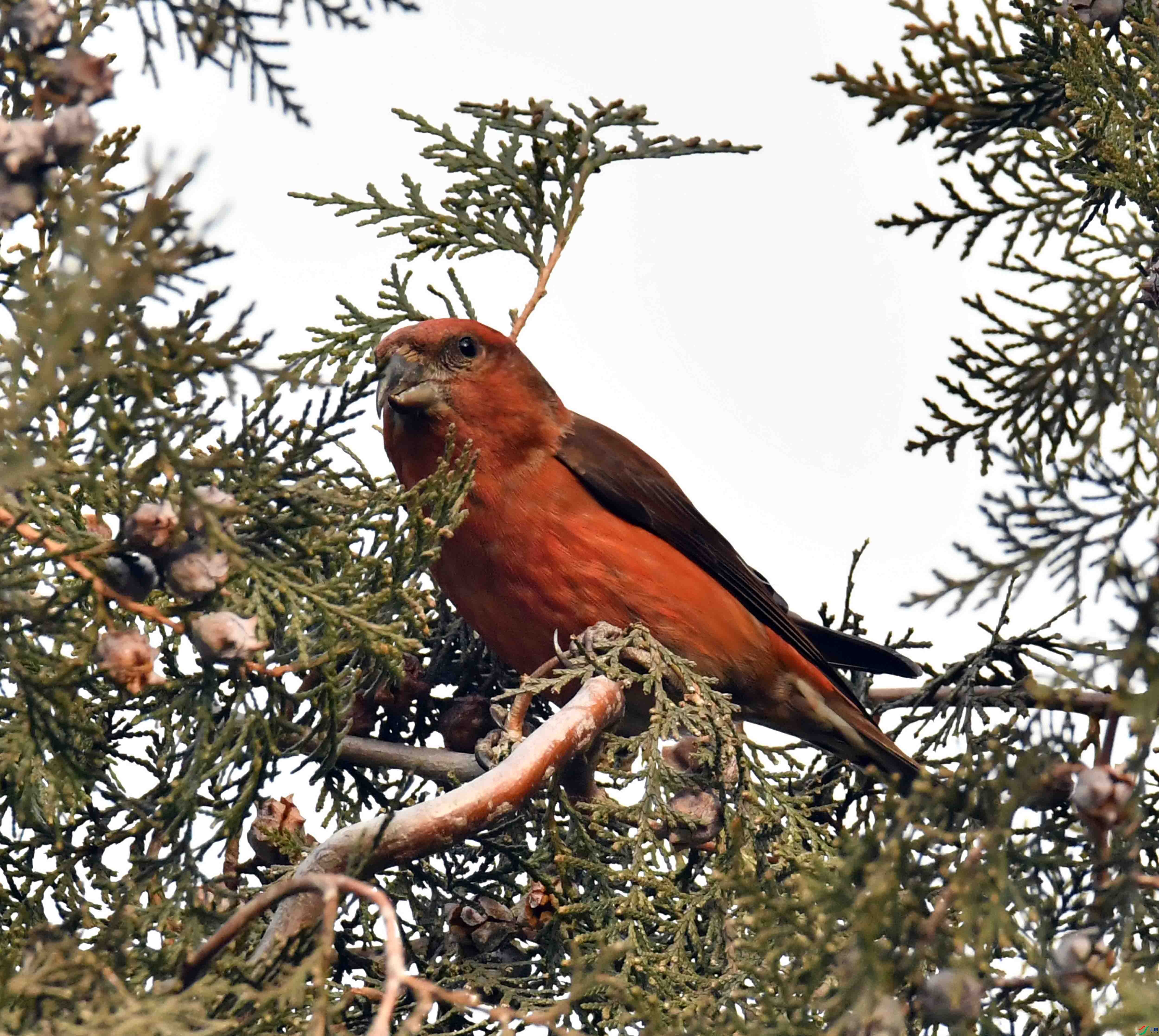DSC_5089.JPG