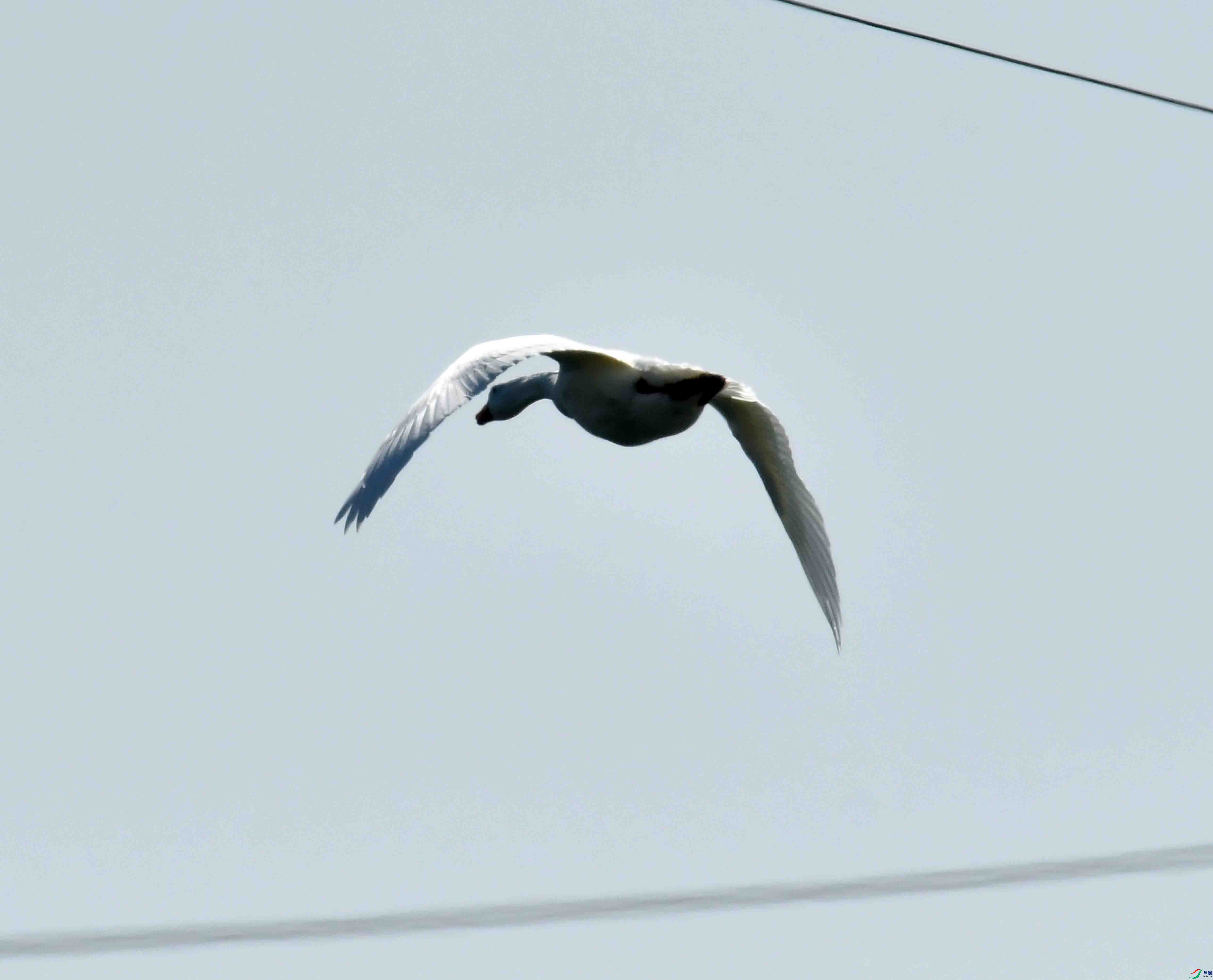 DSC_9913.JPG