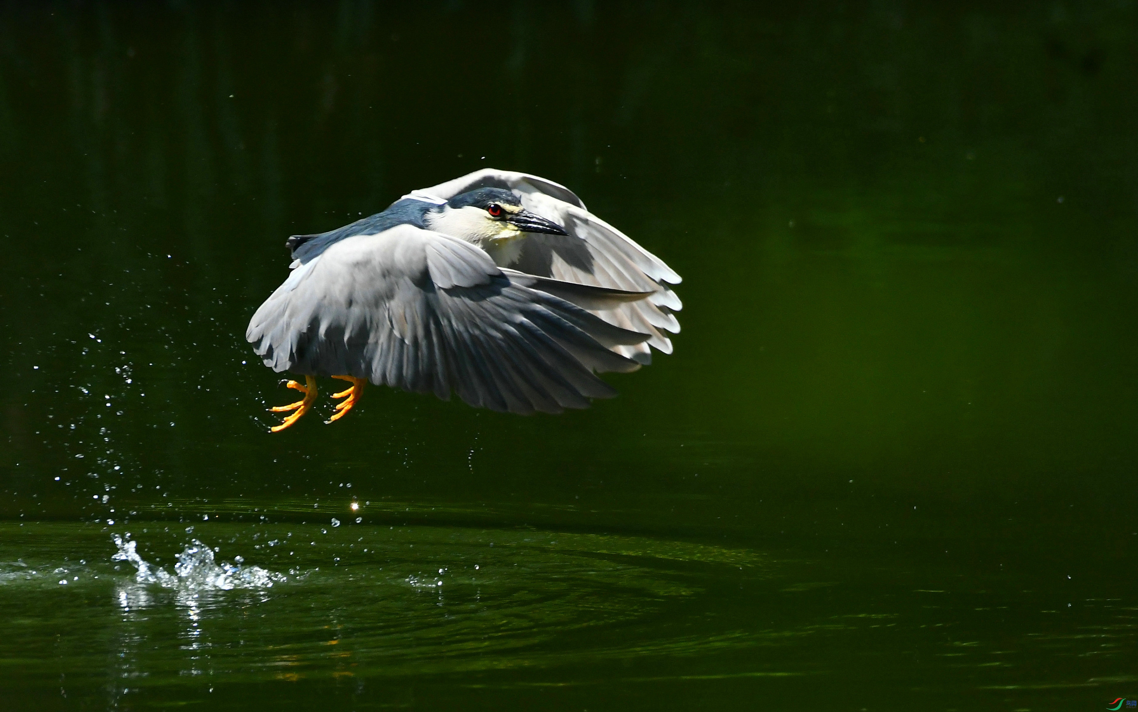 DSC_7721.JPG