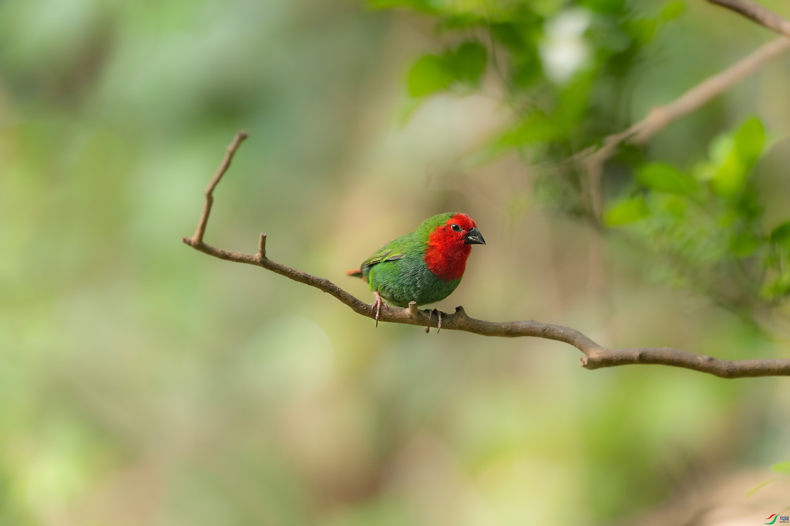 DSC00494 ����.jpg