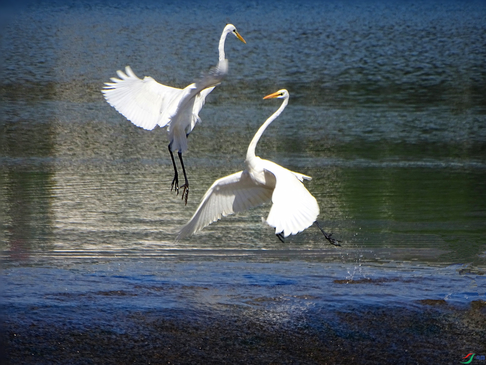 DSC02253_����.jpg