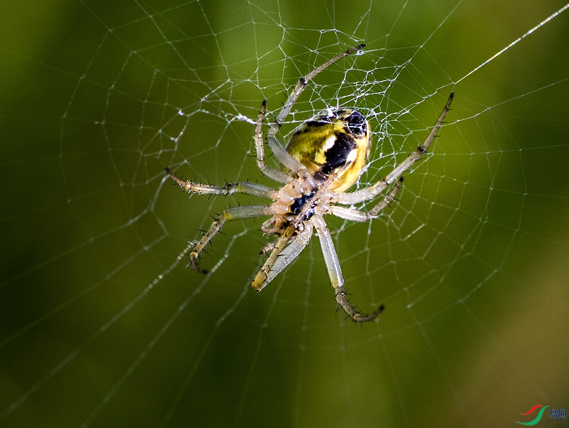 DSC_8074.jpg