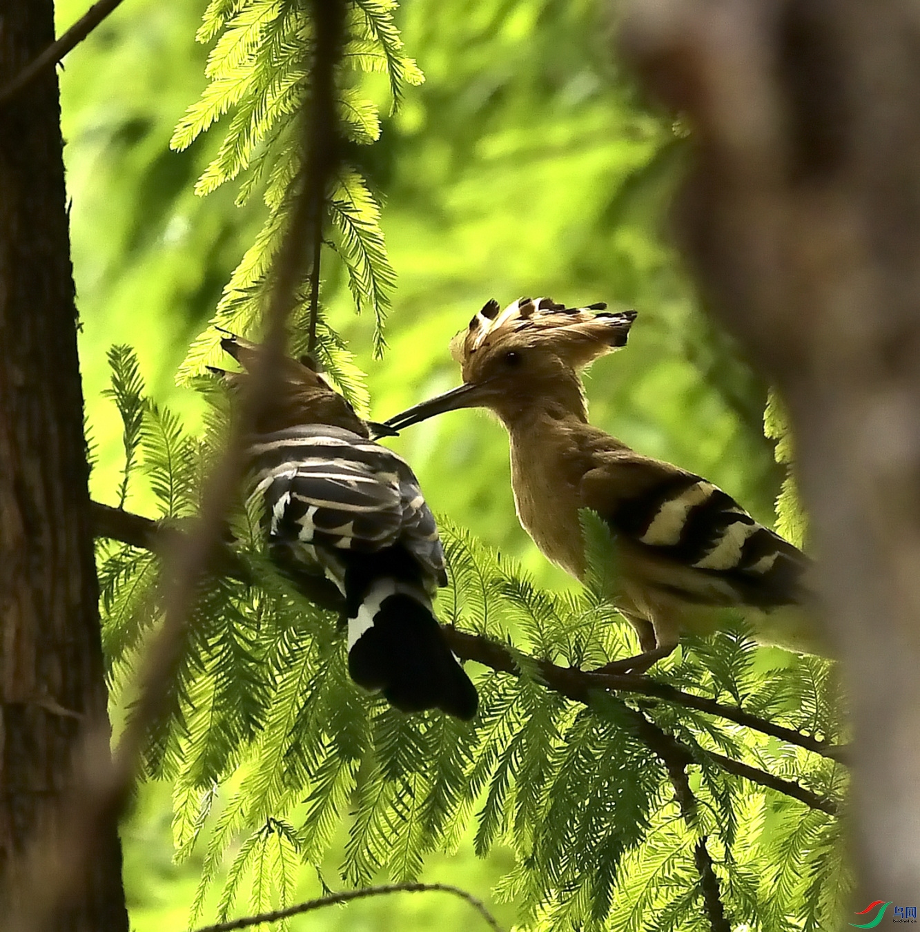 _DSC7087_01_01.JPG