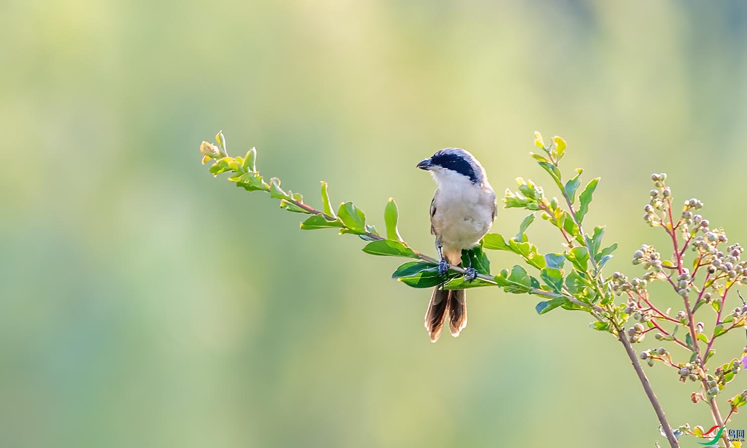 DSC_8844 ����.jpg