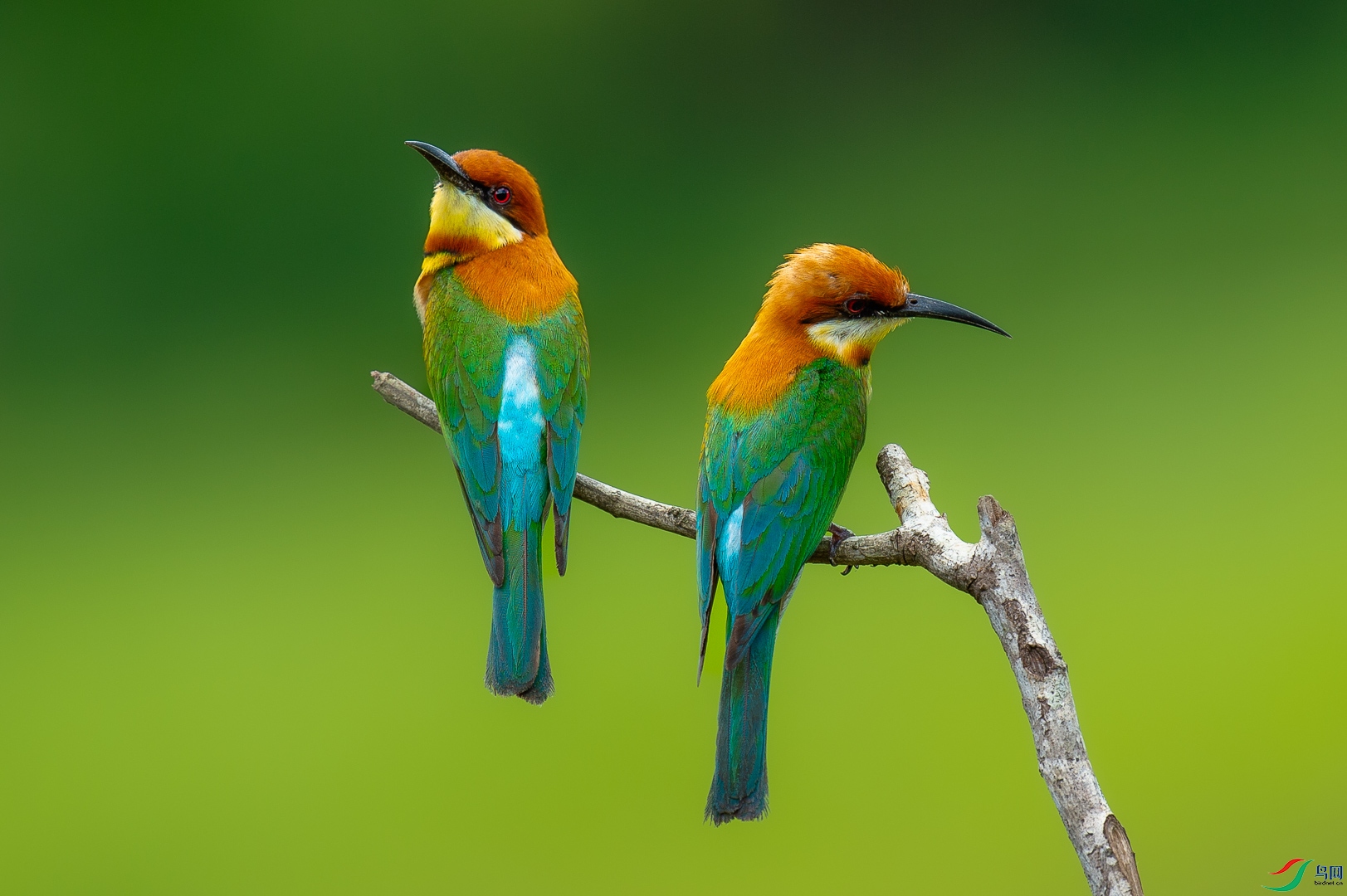 DSC_7327-2.jpg