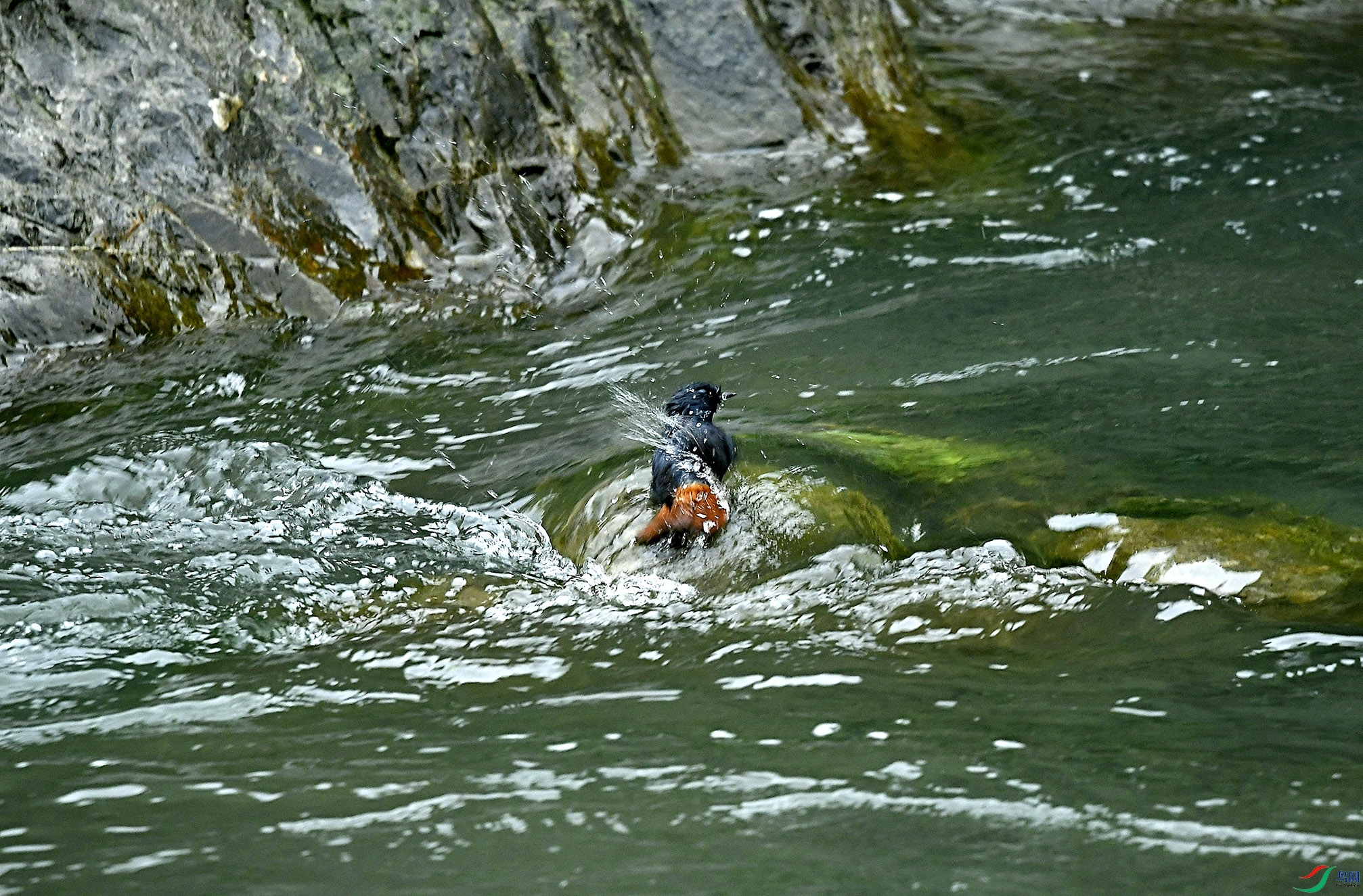 _DSC7435.jpg