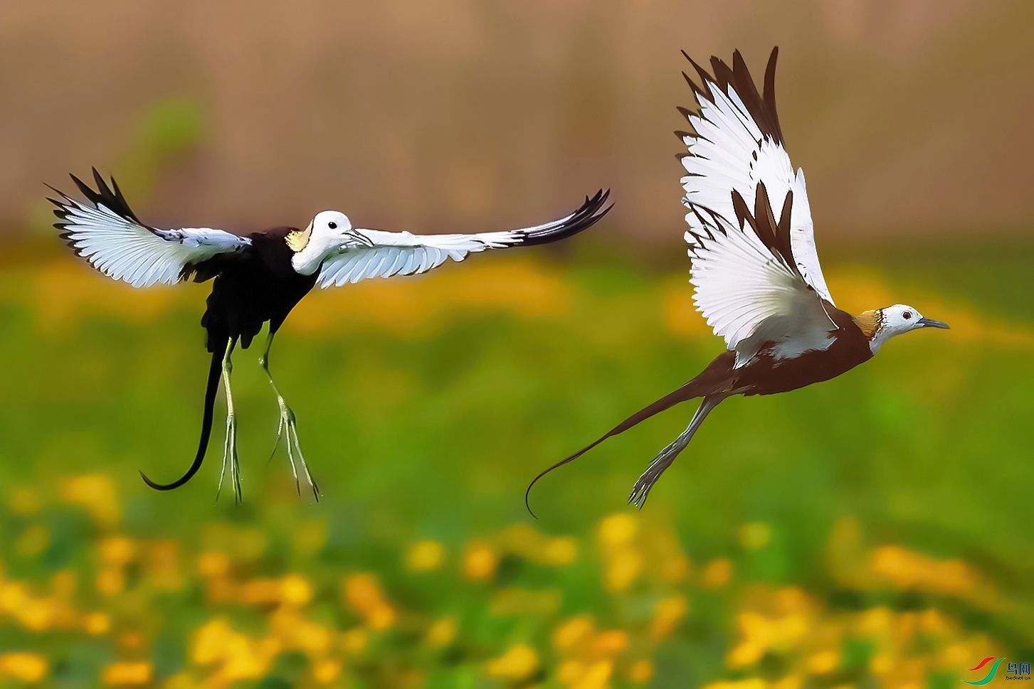 193A6244 (3) ����.jpg