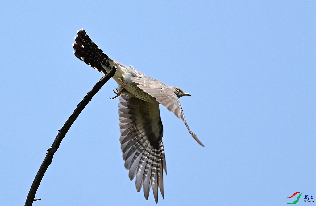 DSC_9712.JPG