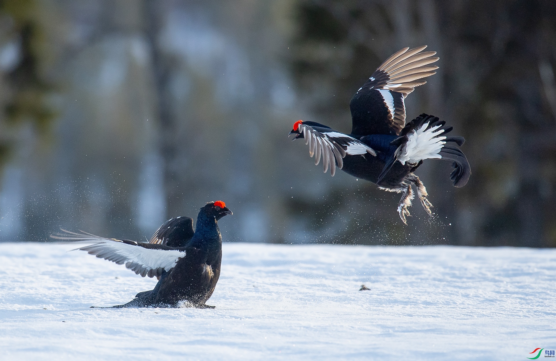 ��DSC_3409 ��ؐ.jpg