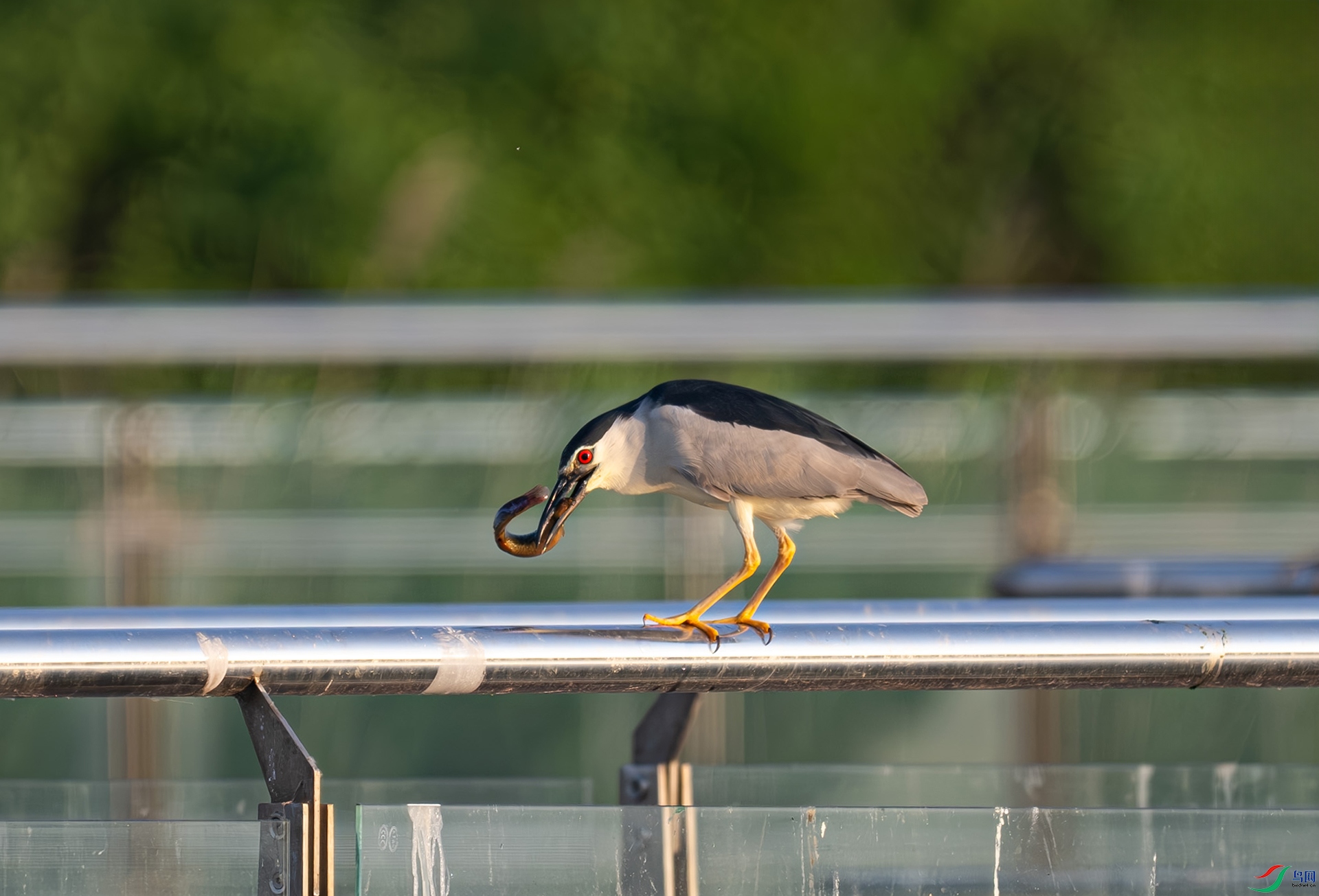 _DSC9204d2.jpg