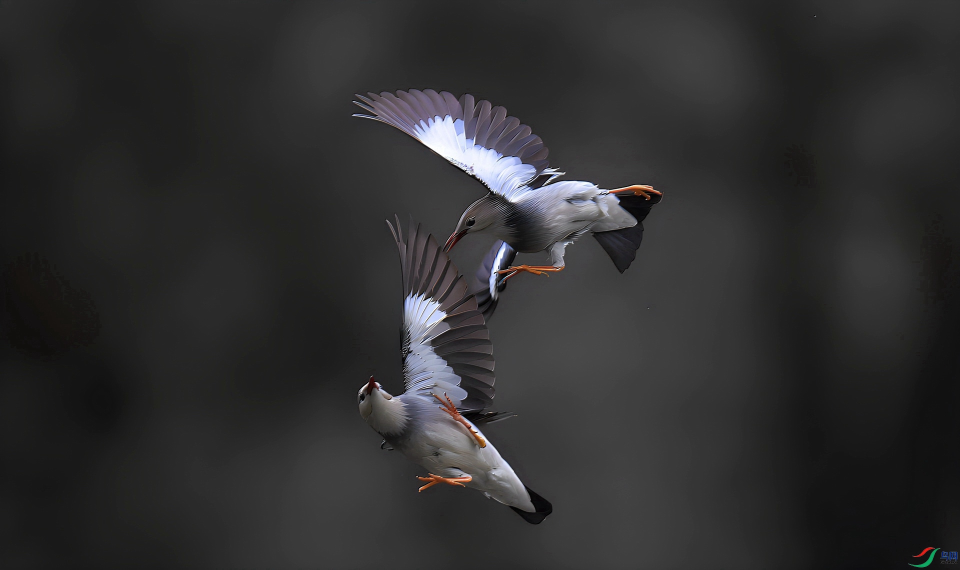 360albumviewer_imgproc_28349531_����.jpg