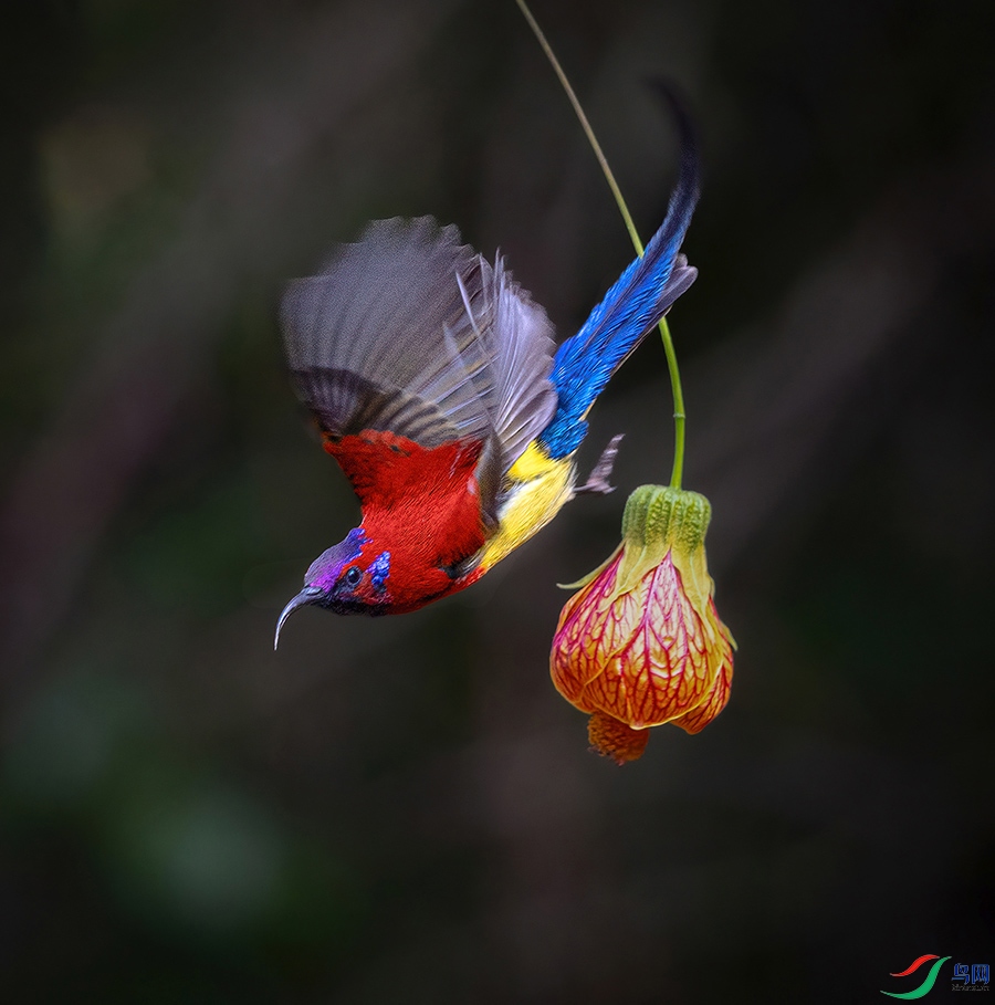 3V6A6232 ����.jpg