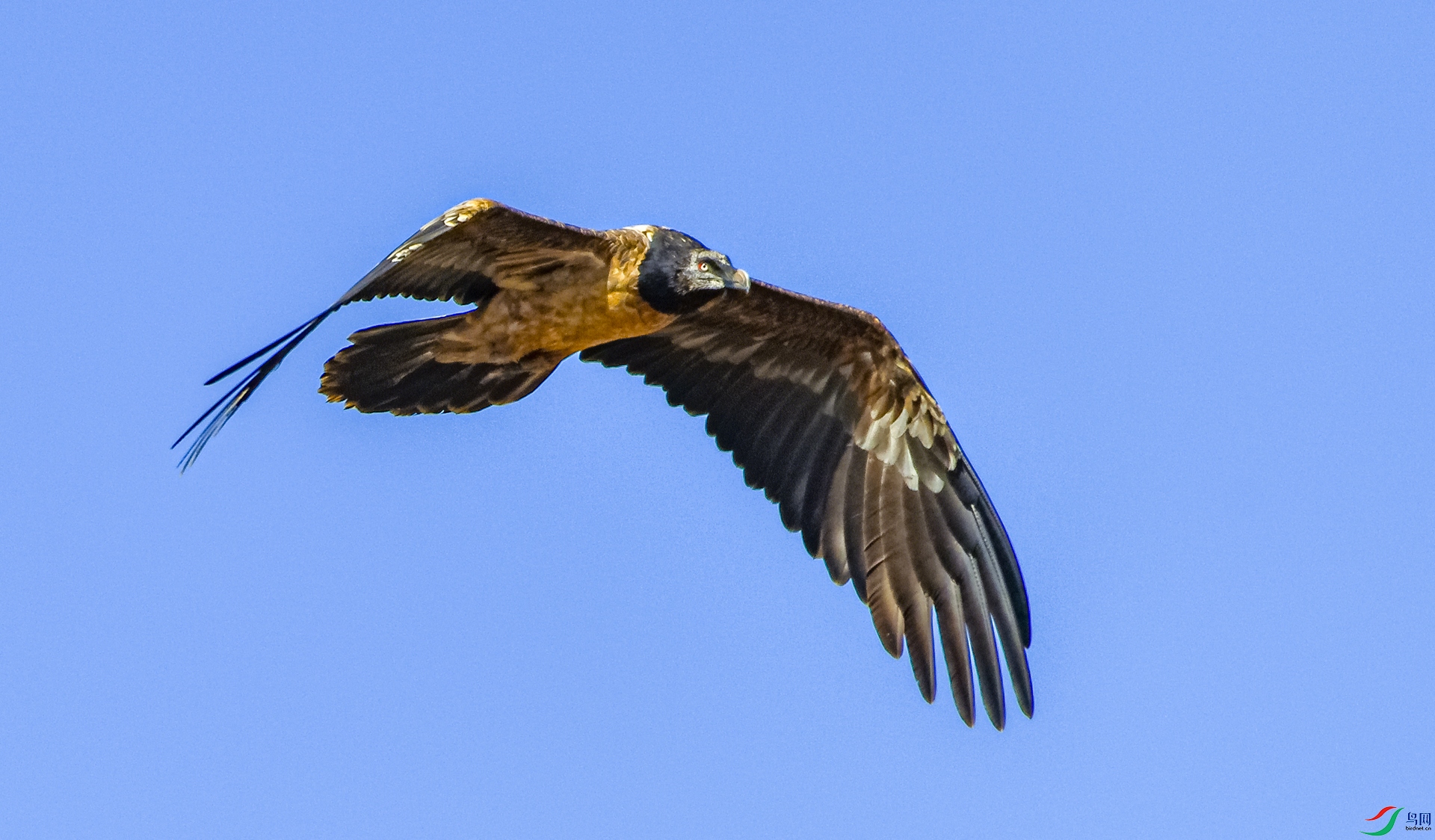 DSC_3622_����.jpg
