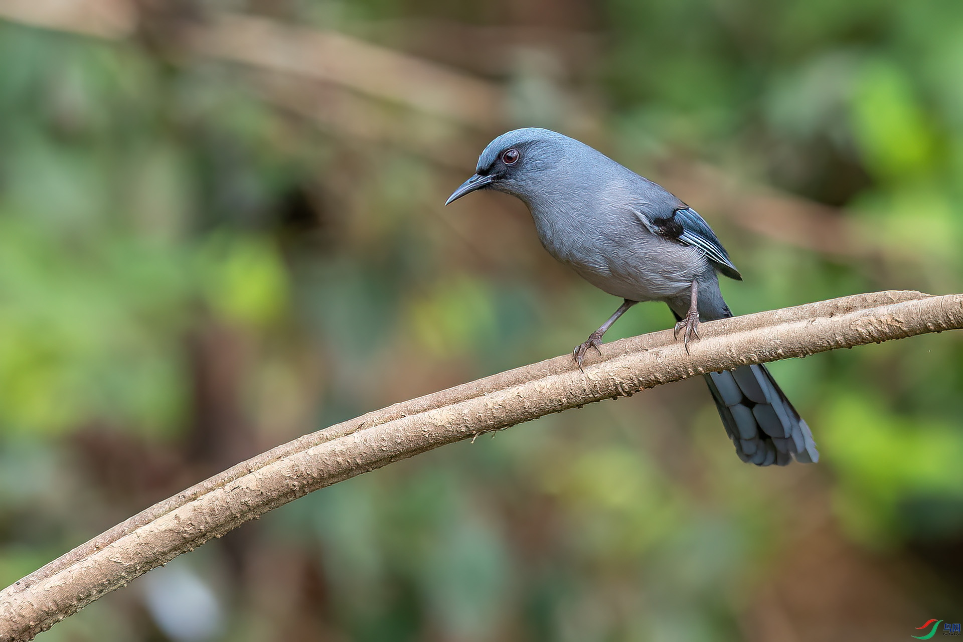 DSC_3373.jpg