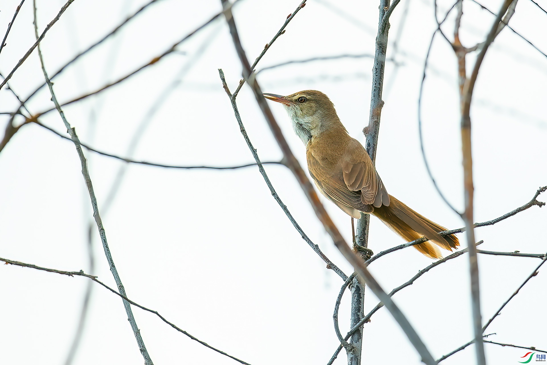 DSC_6074.jpg