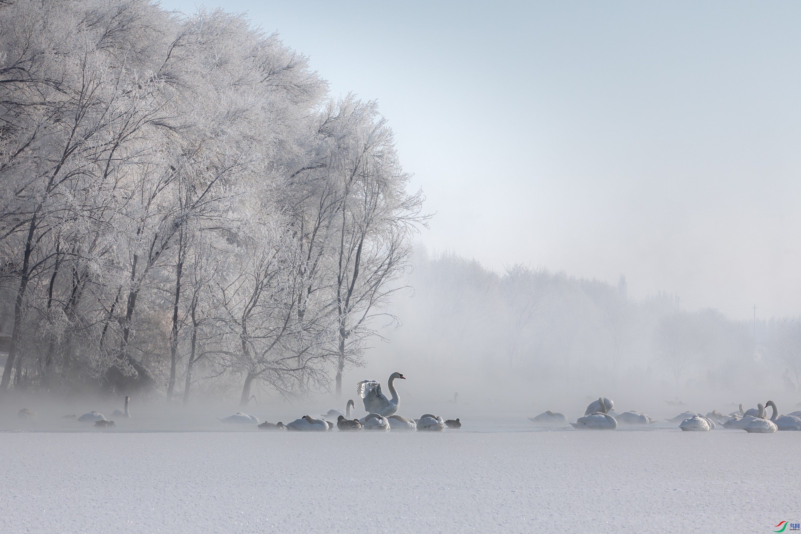 3S5A2968- ����.jpg