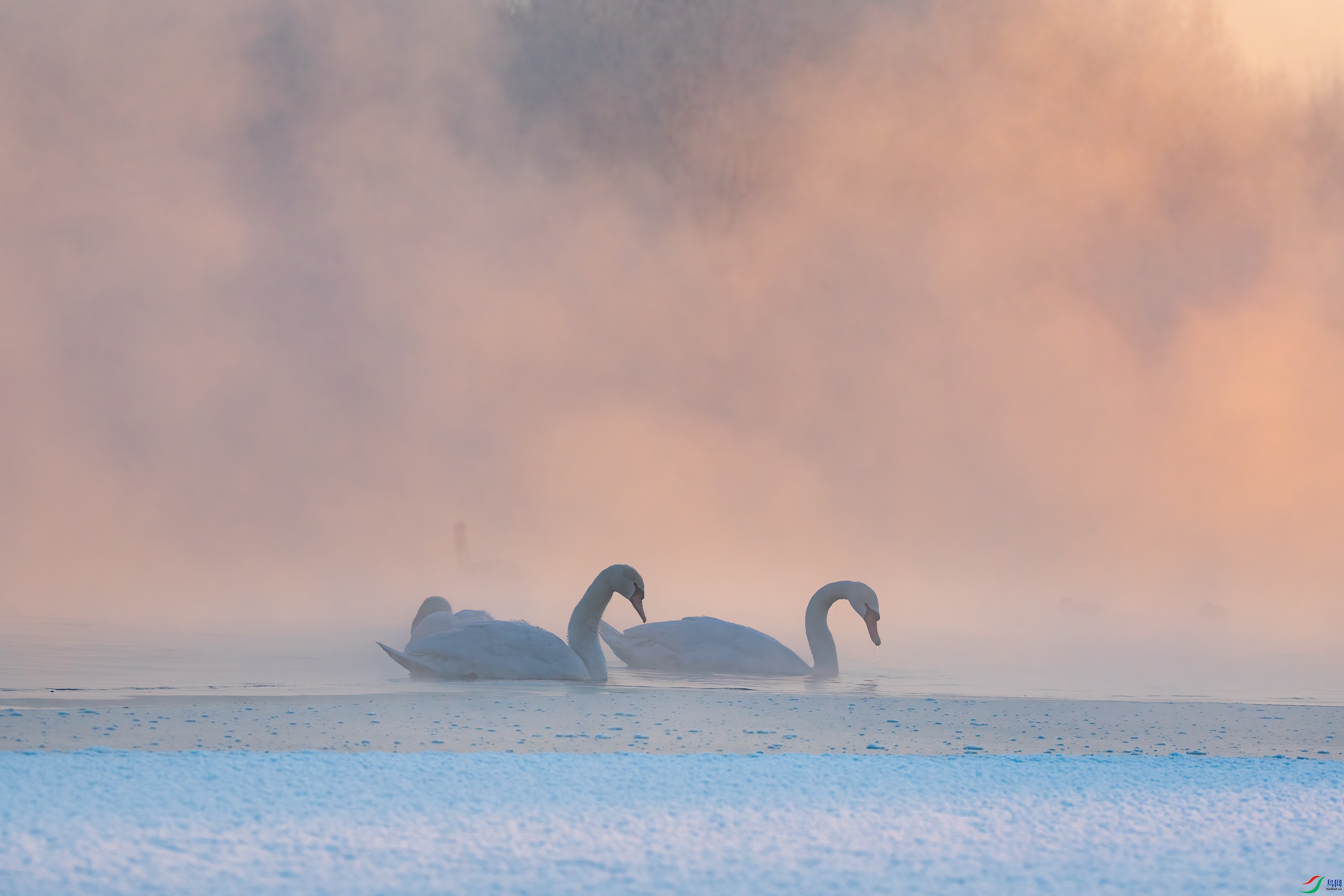 3S5A4126 ����.jpg