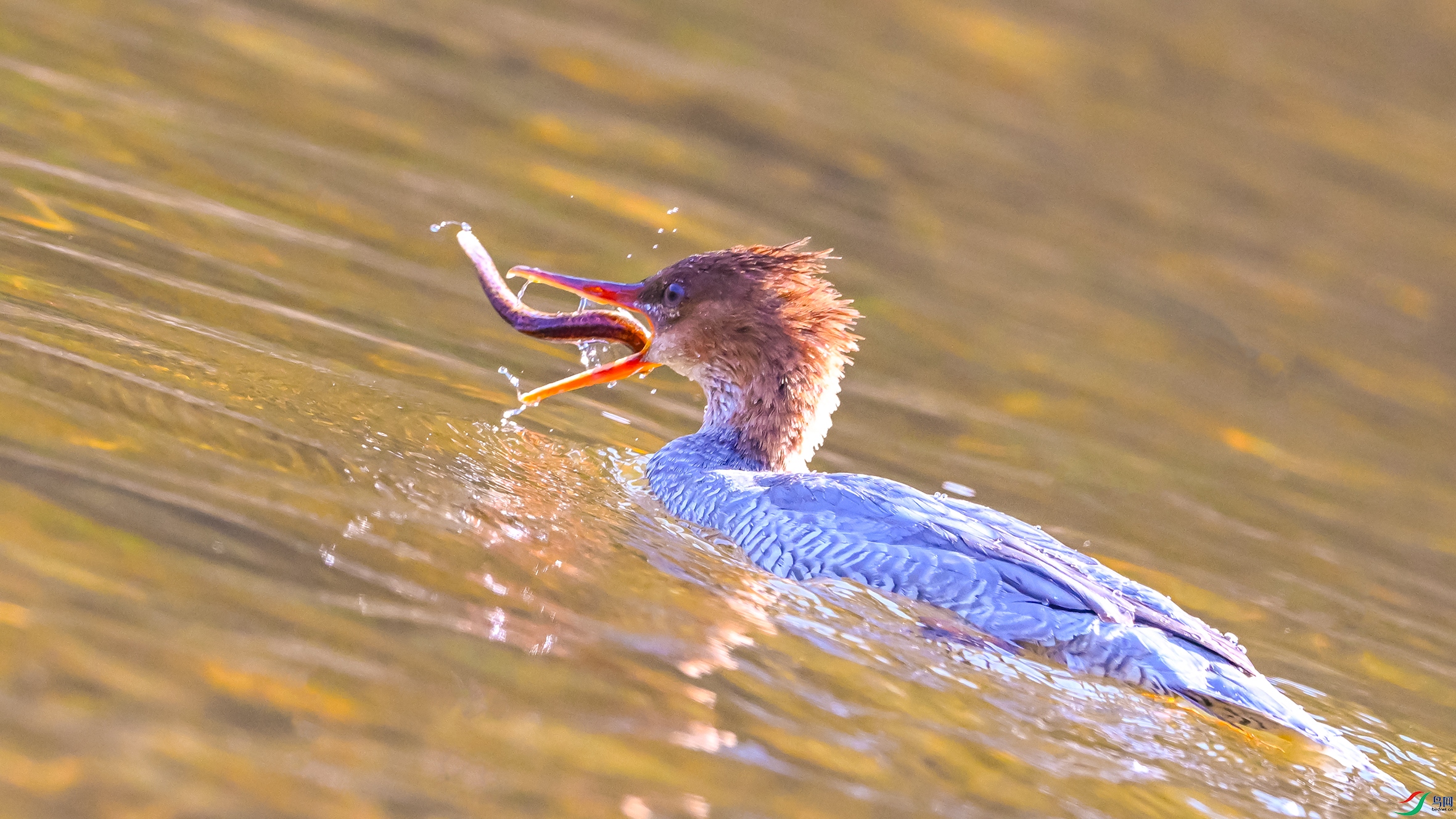 0289 ����.jpg