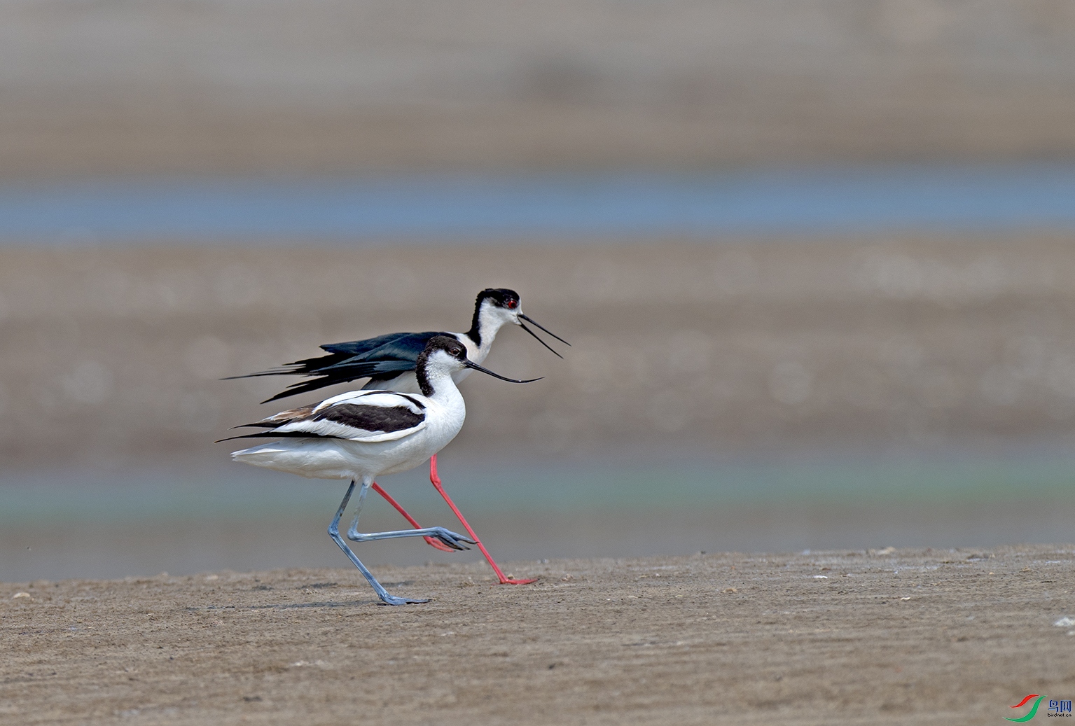 _DSC5650.jpg
