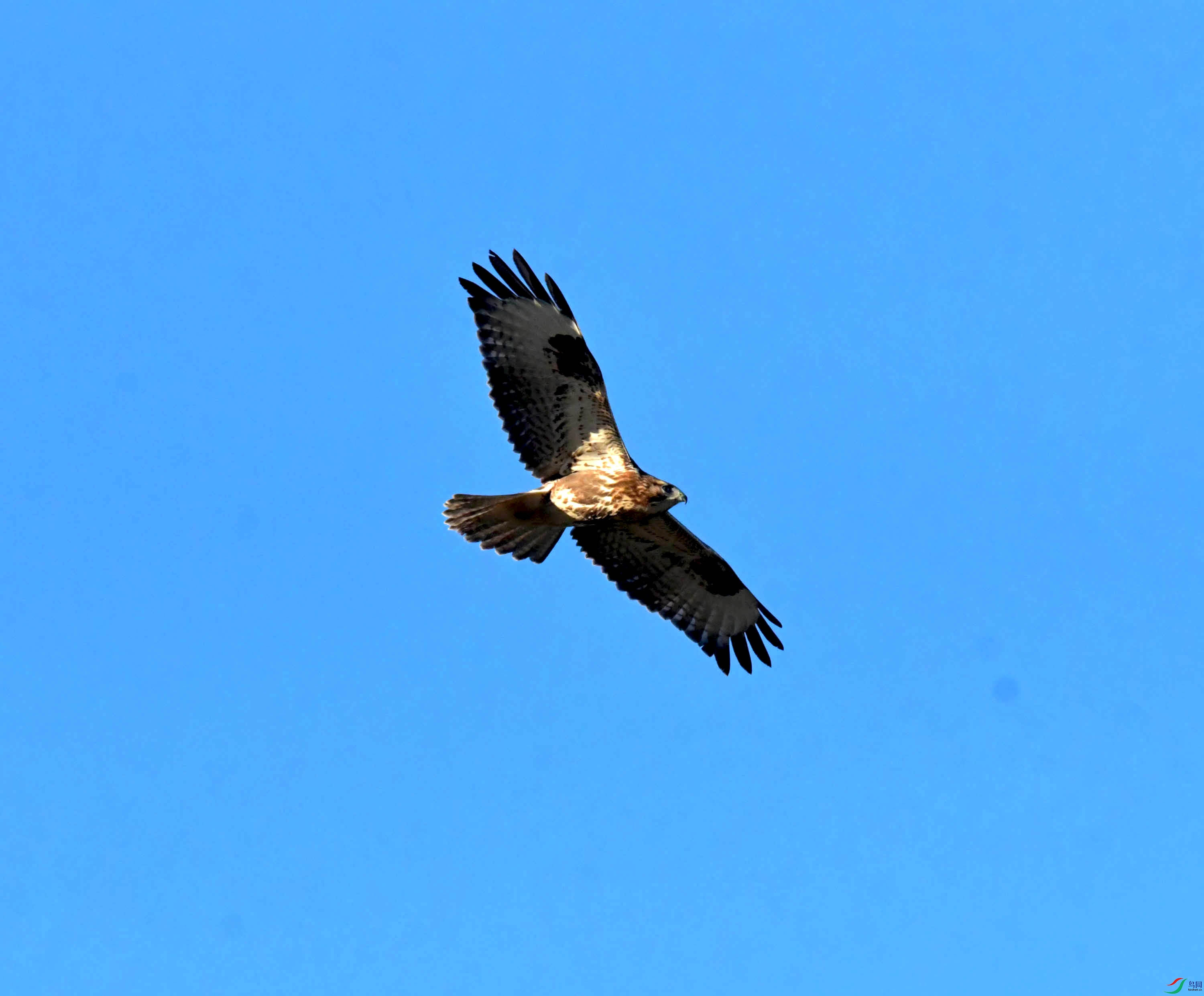 DSC_2970.JPG