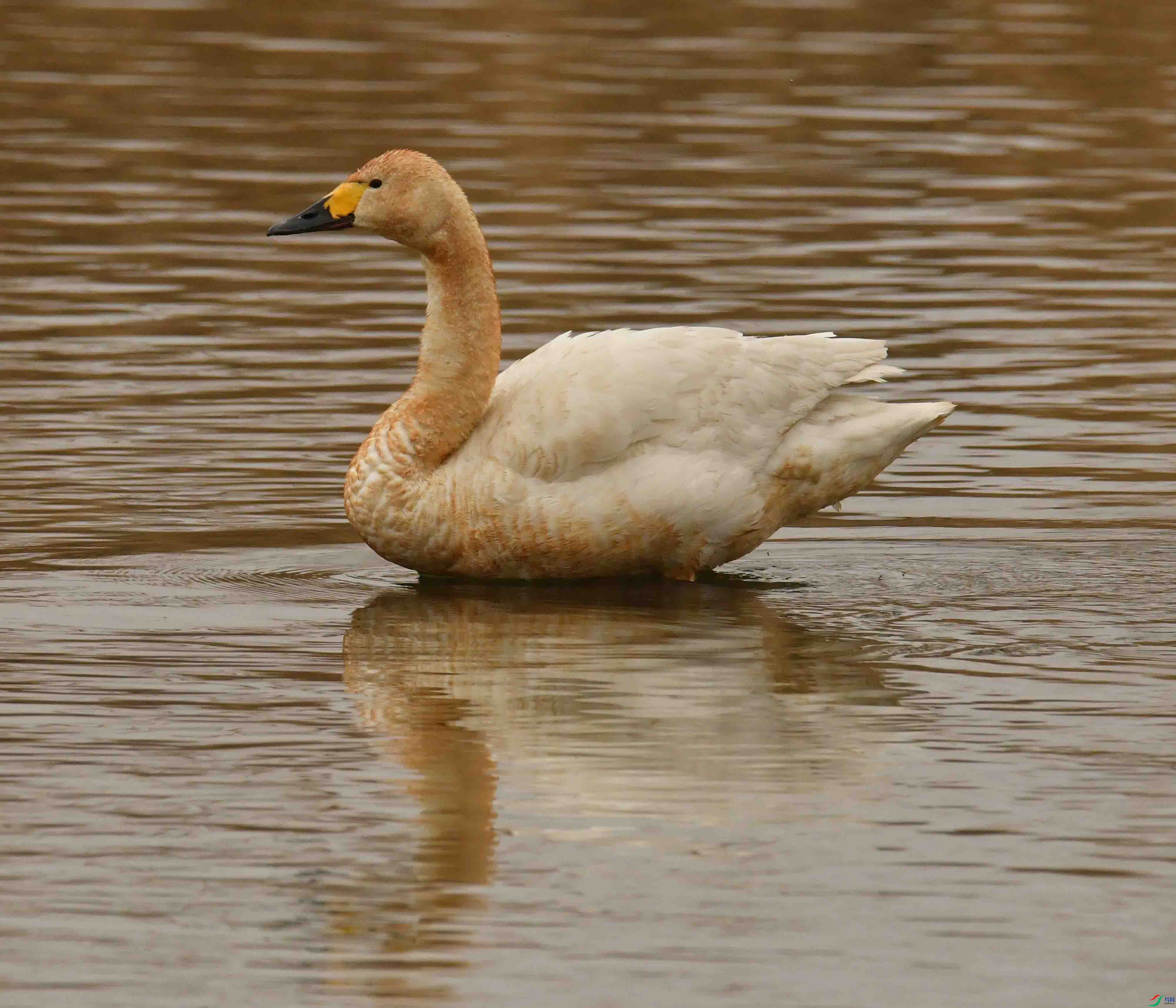 DSC_0645.JPG
