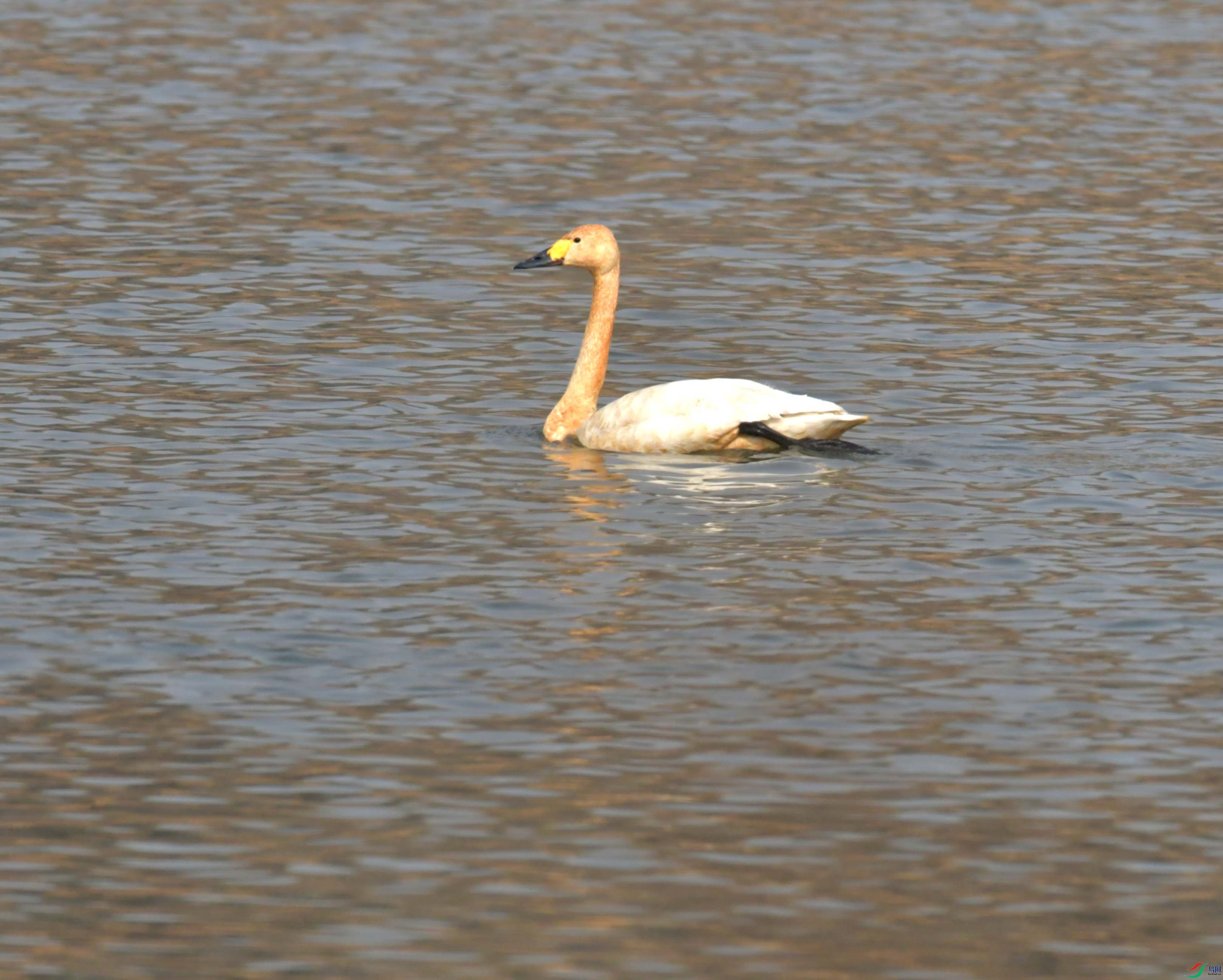 DSC_2488.JPG
