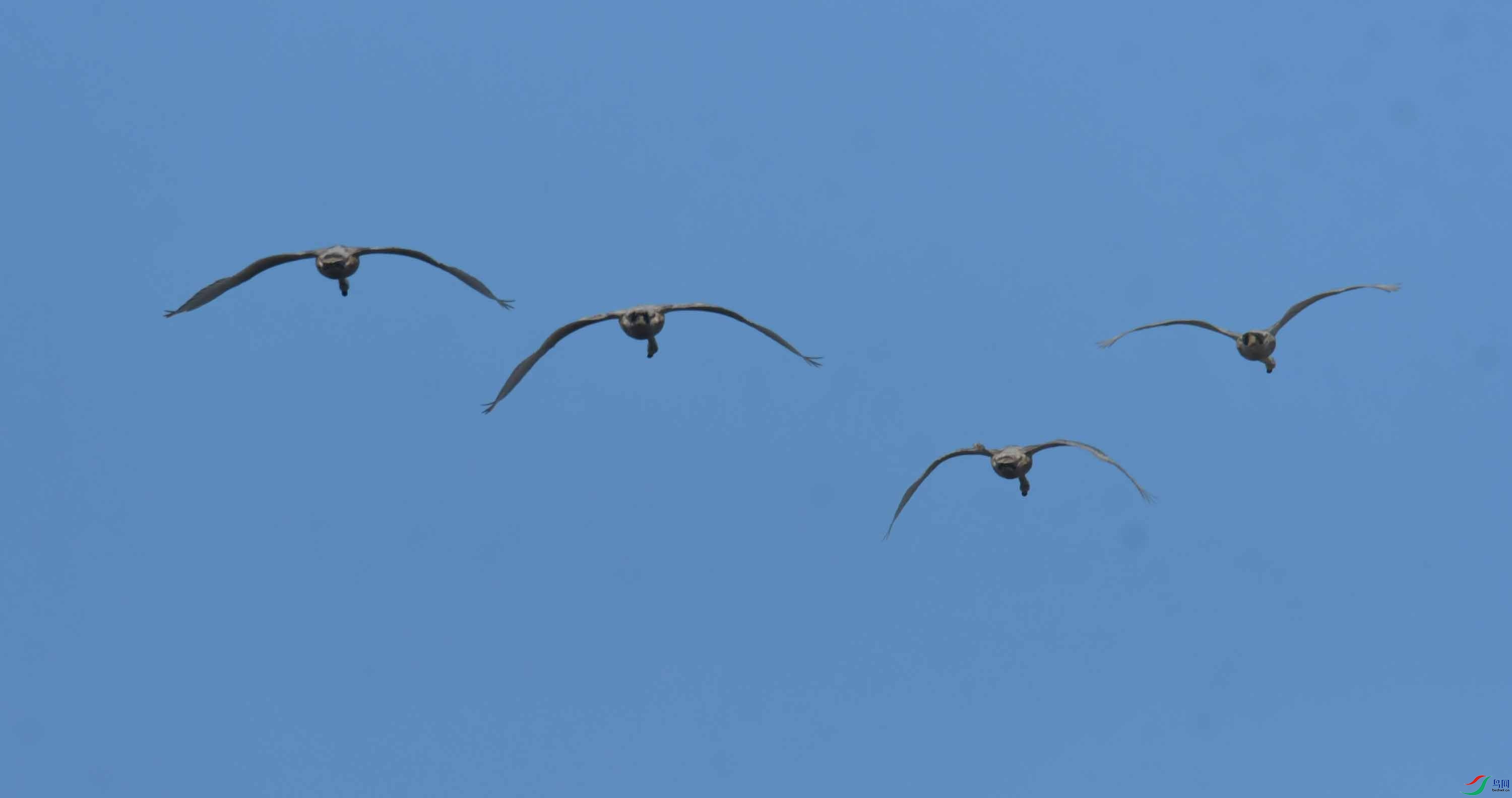 DSC_4006.JPG