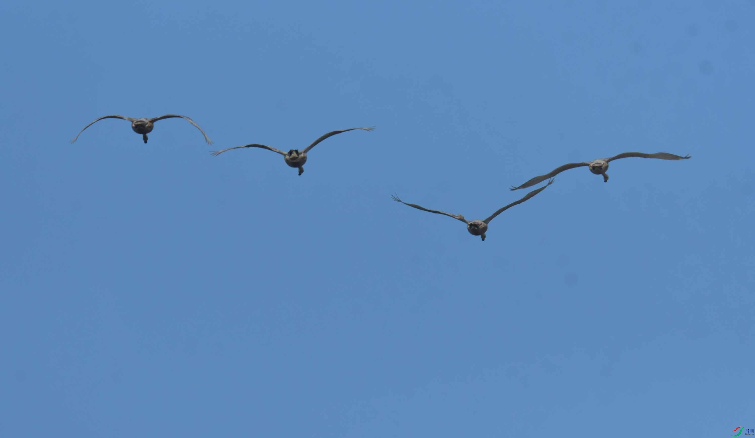 DSC_4007.JPG