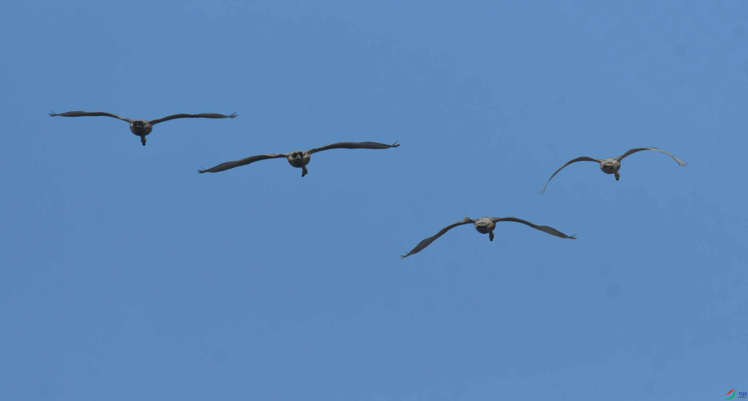 DSC_4008.JPG