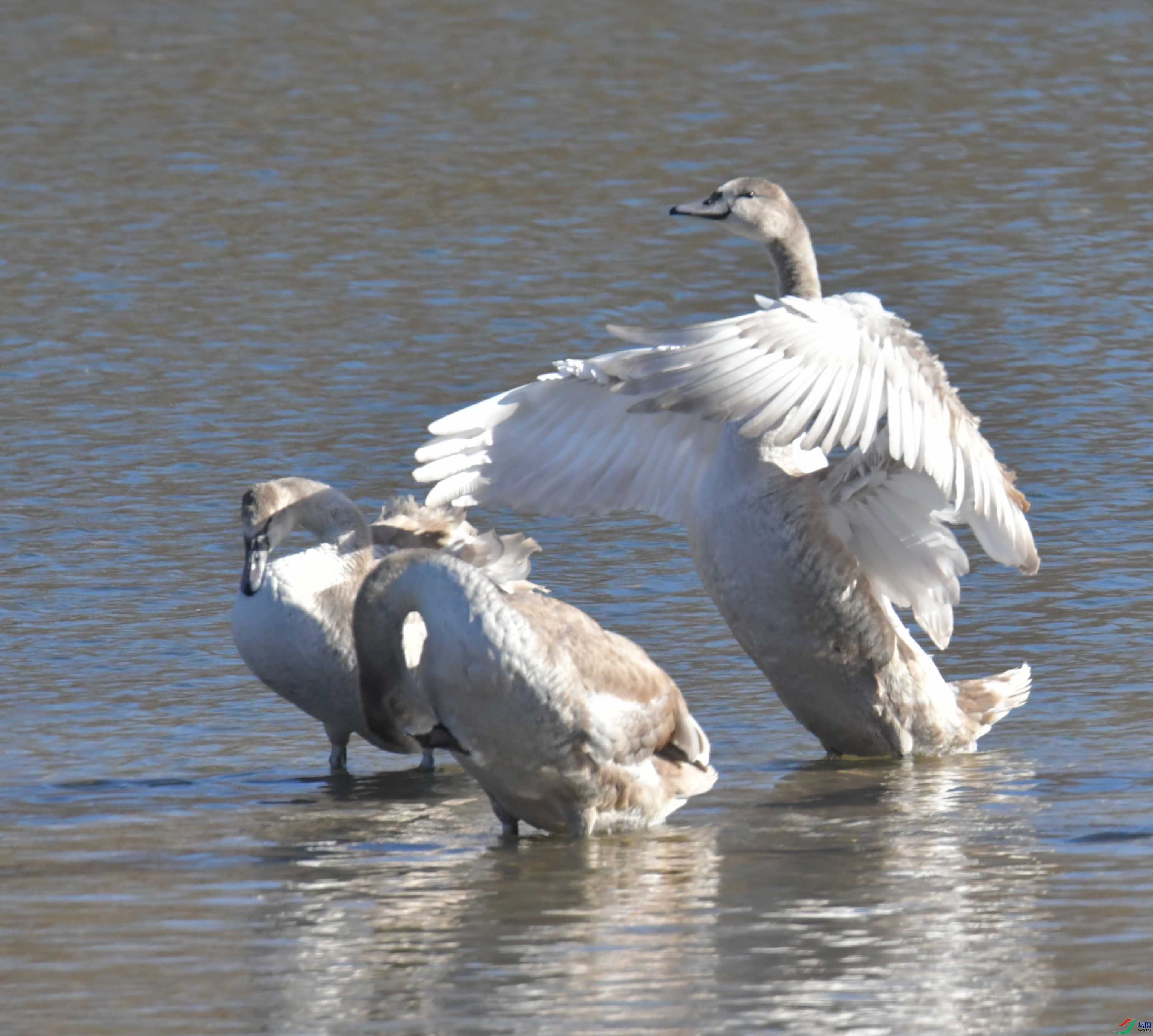DSC_5708.JPG