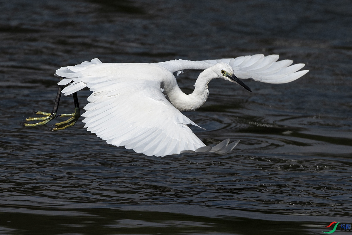 _DSC8354-.jpg