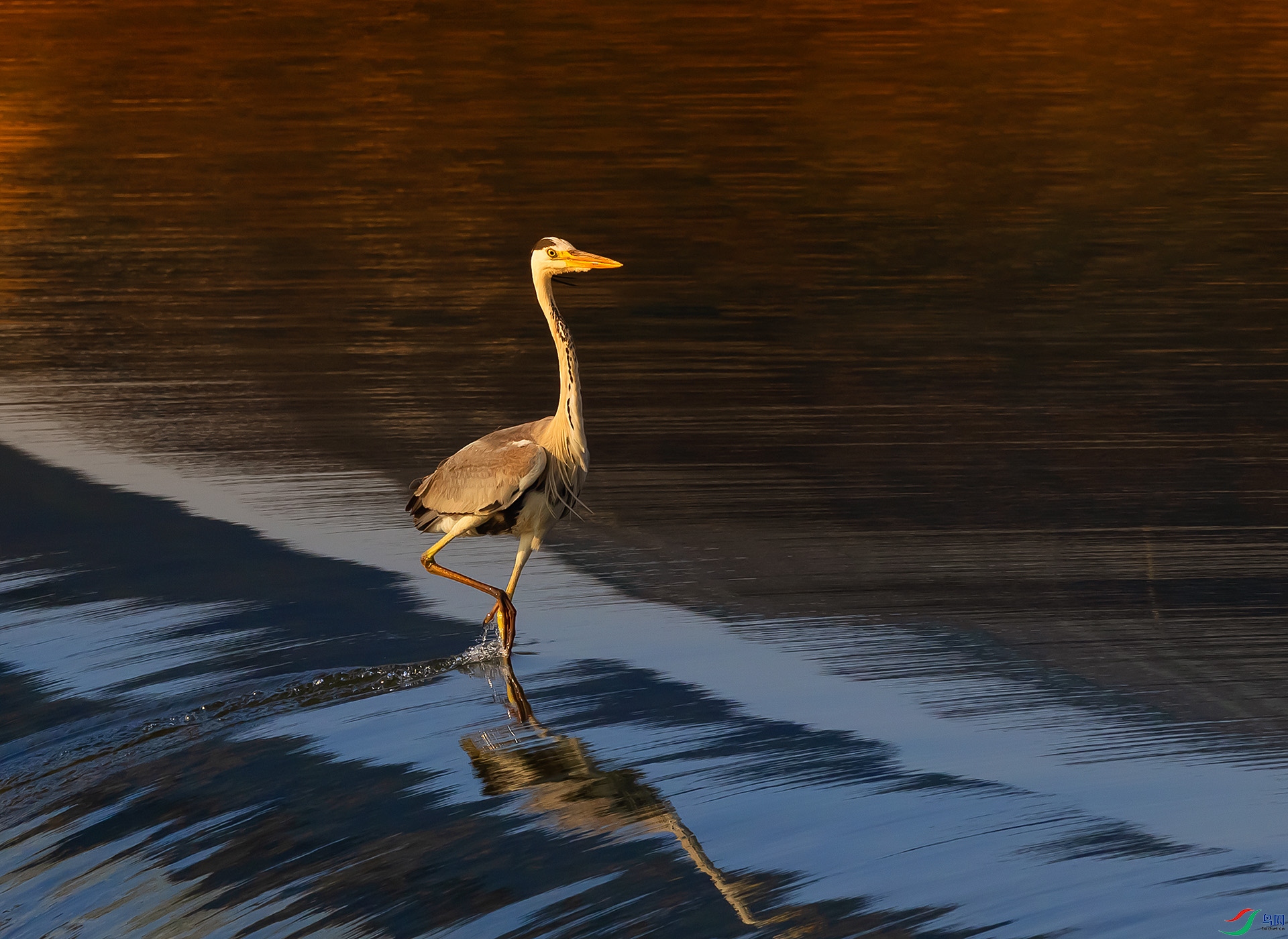 019A0696 ����.jpg