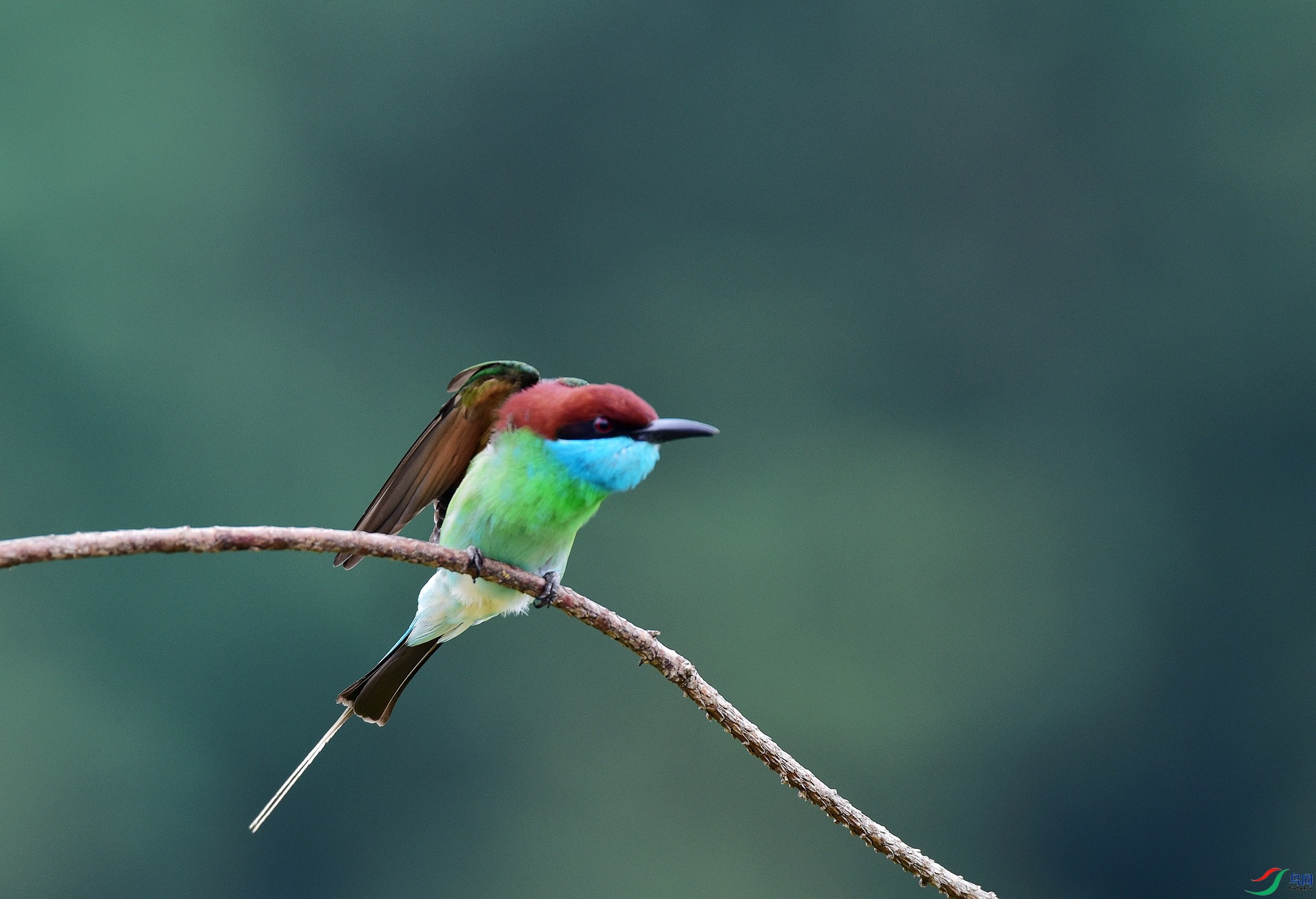 D8I_5378.jpg