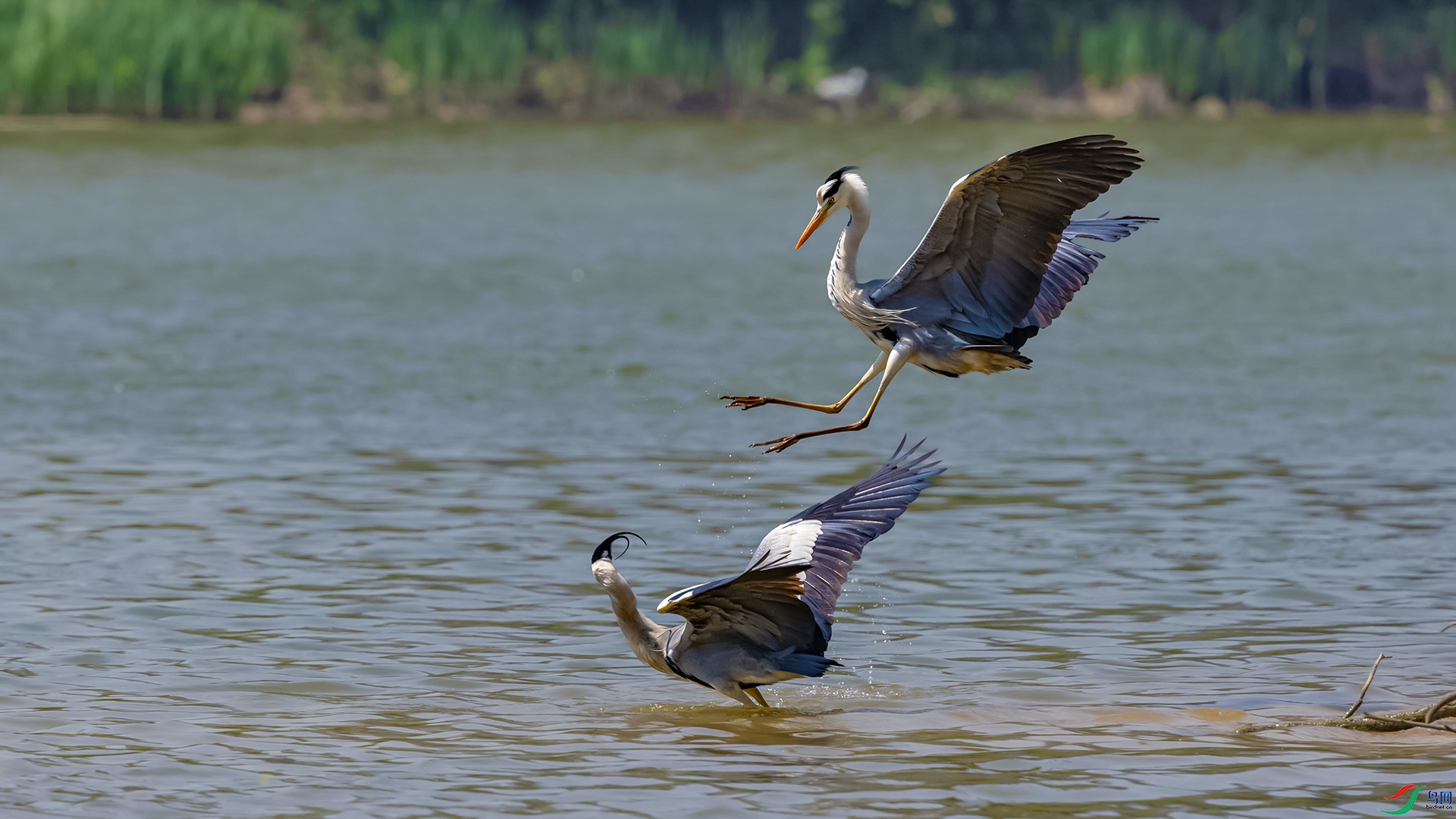 0U3A2981-1.jpg
