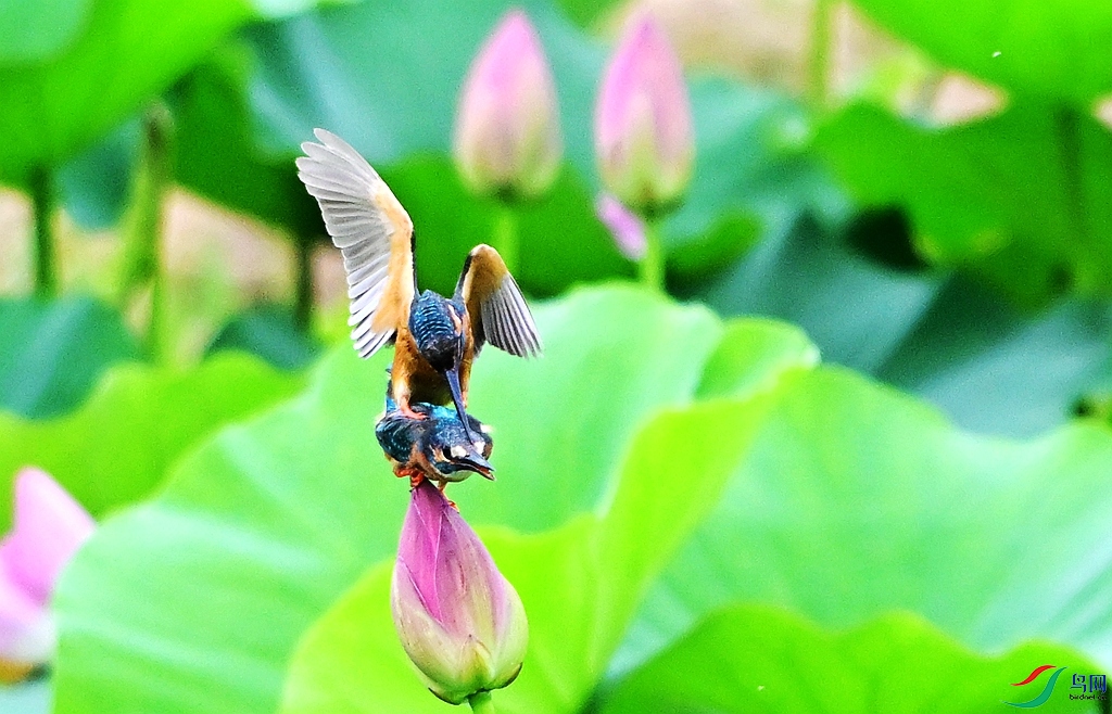 DSC_9584.JPG