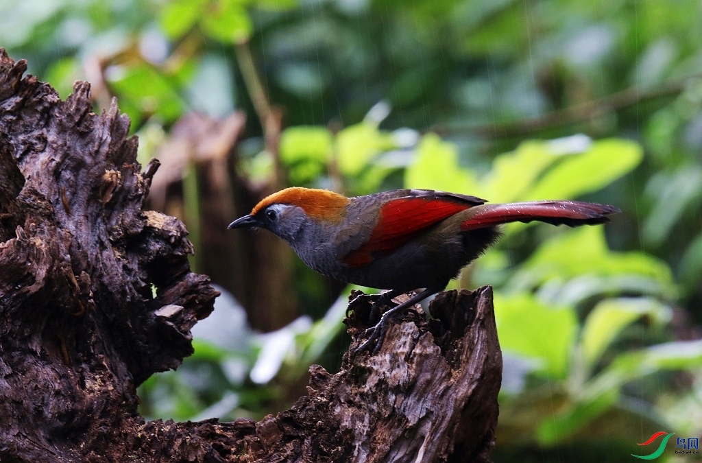 ���� 0F4A2097.JPG