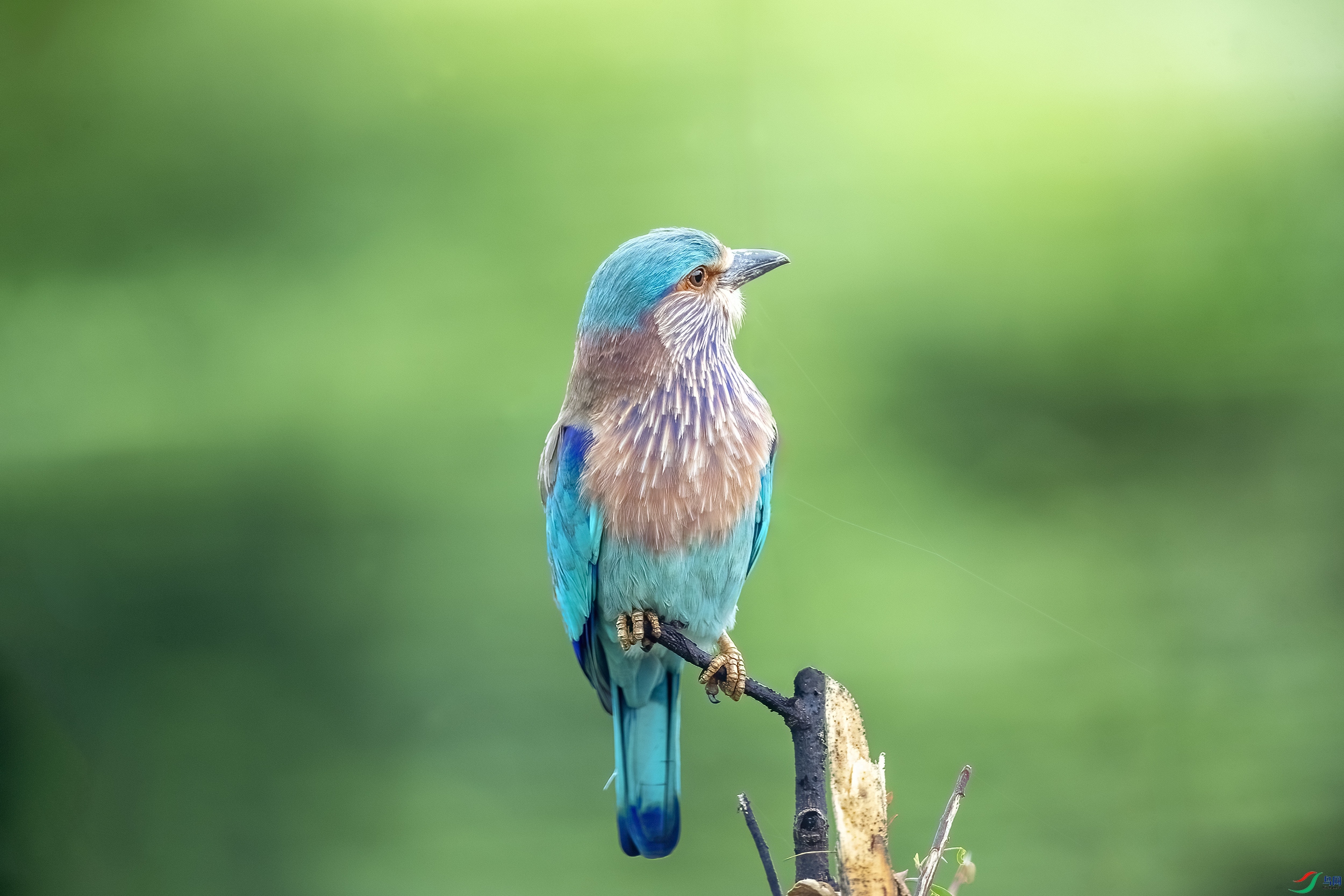 AC3I4488 ����.jpg