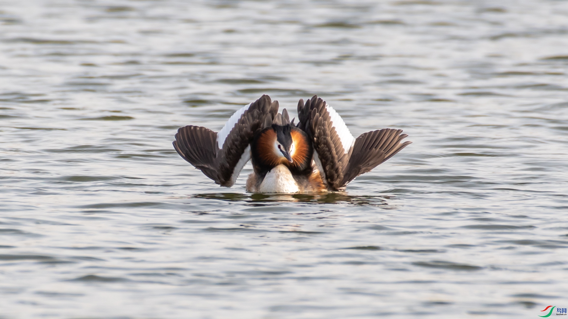 DSC_4644.jpg
