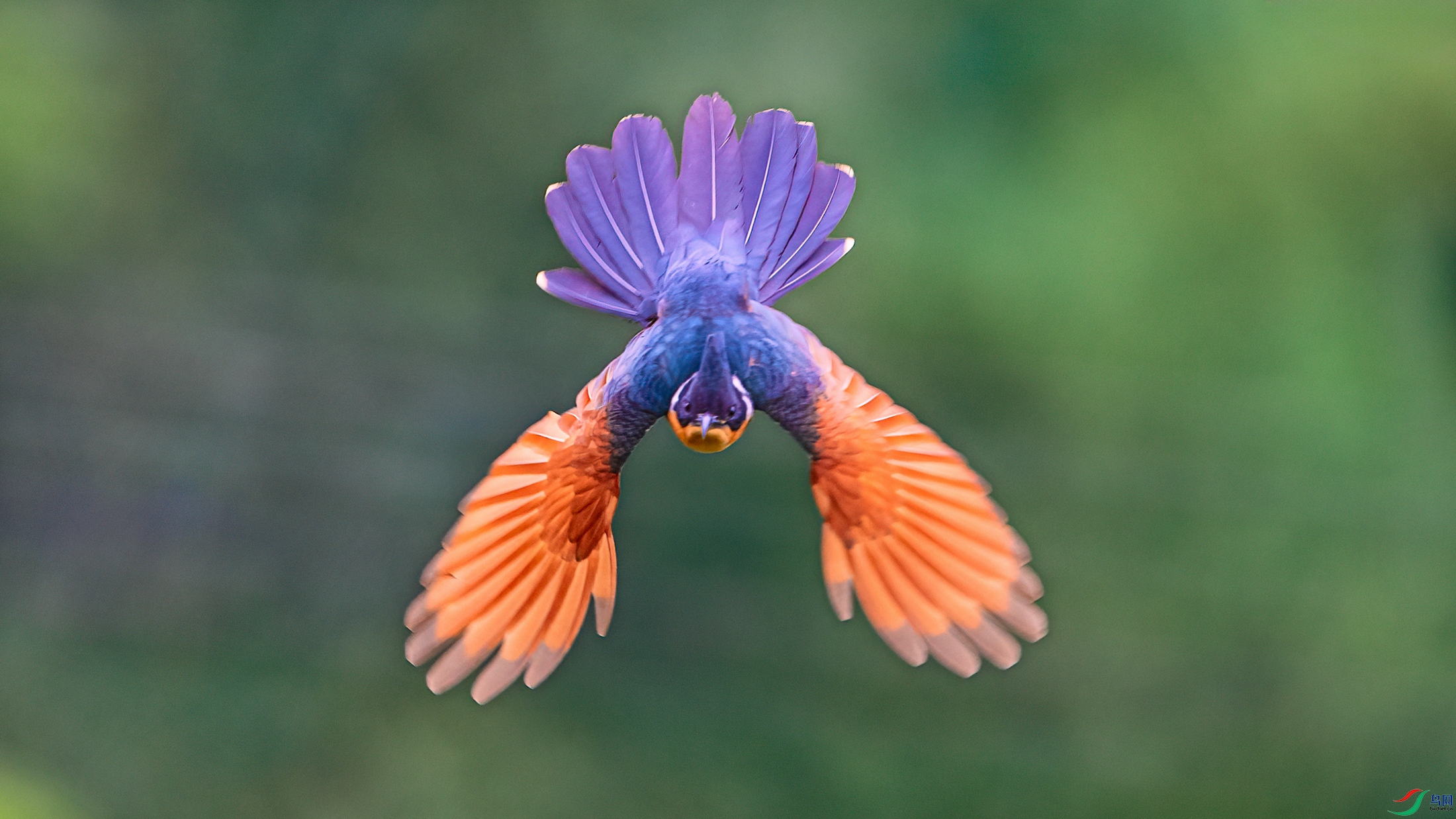 ��ƬDSC_2434 ����.jpg