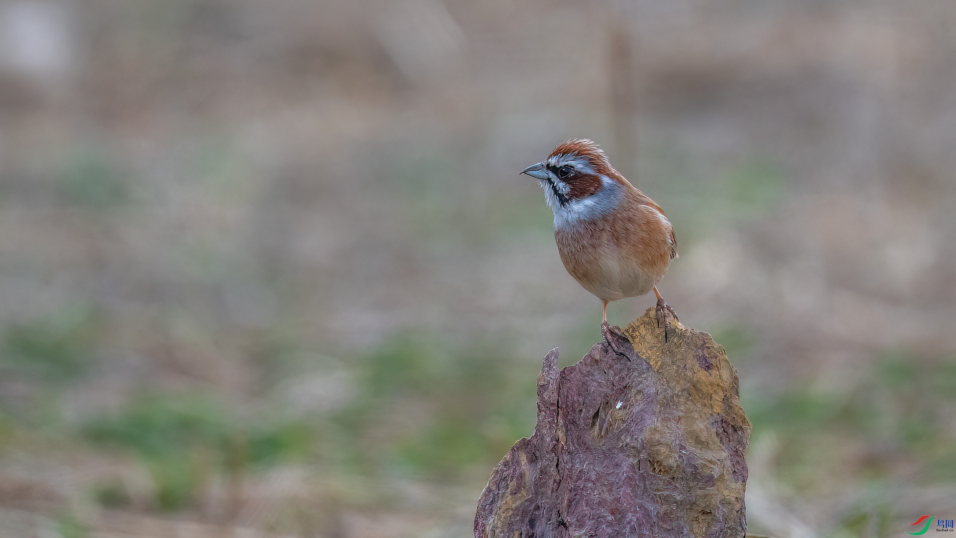DSC_0051.jpg