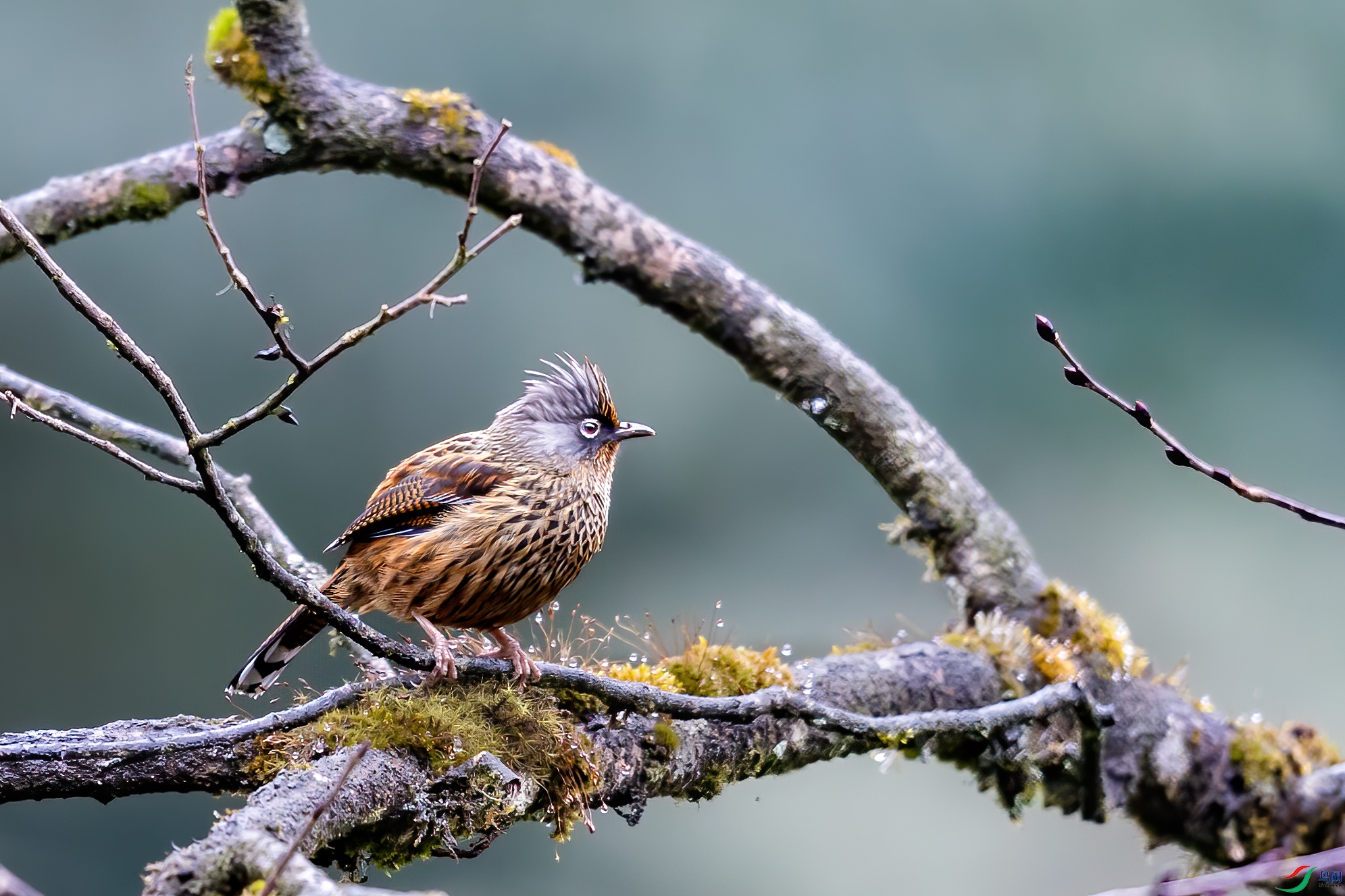 _Y8I1327-2 ����.jpg