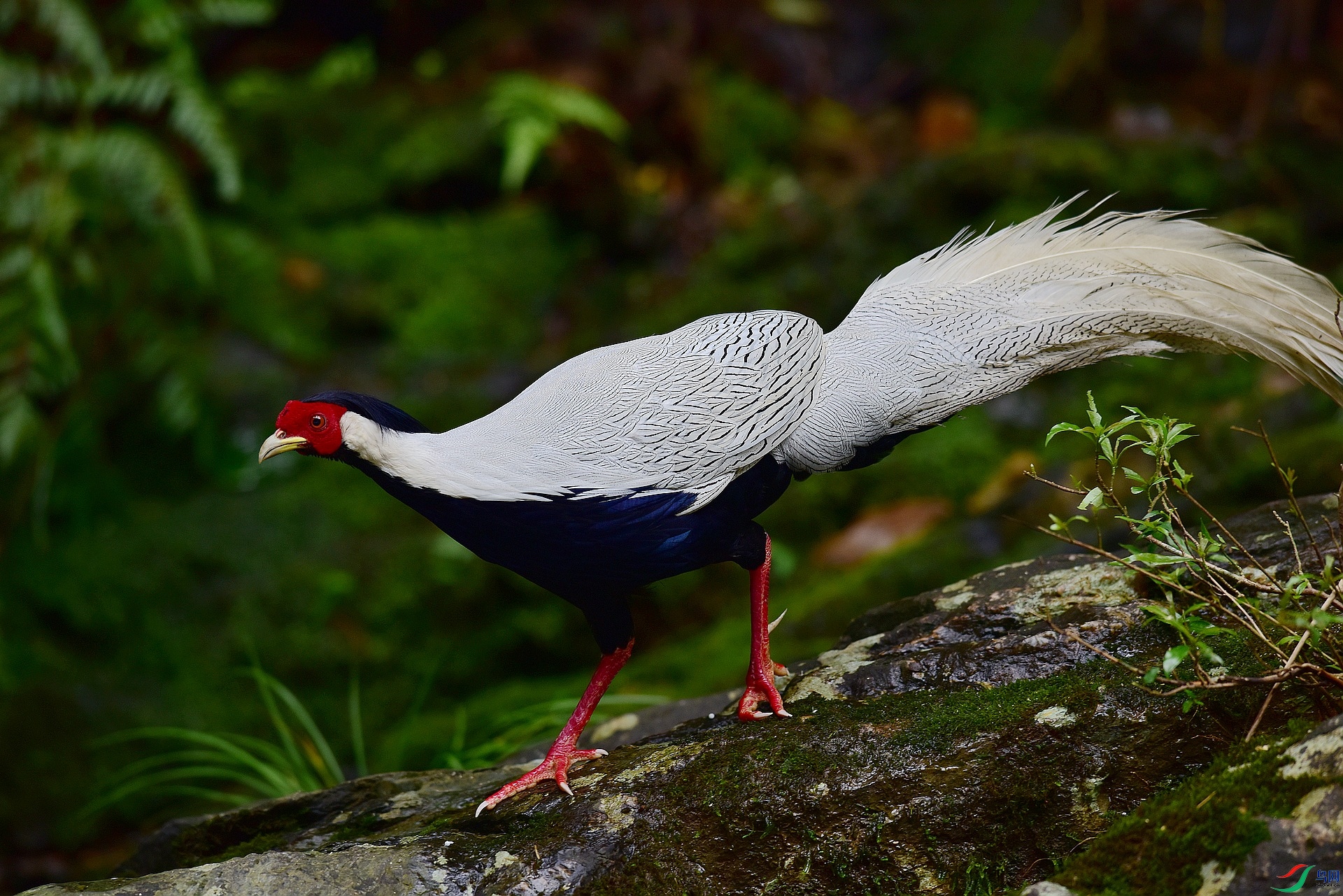 D8I_5806.jpg