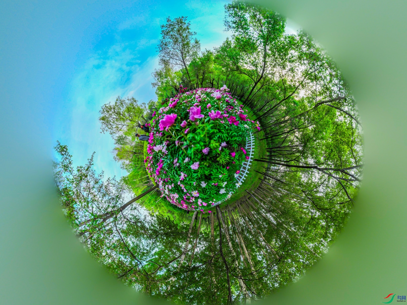 dji_export_20240605_200041_1717588841494_sphere_screenshot ����1.jpg