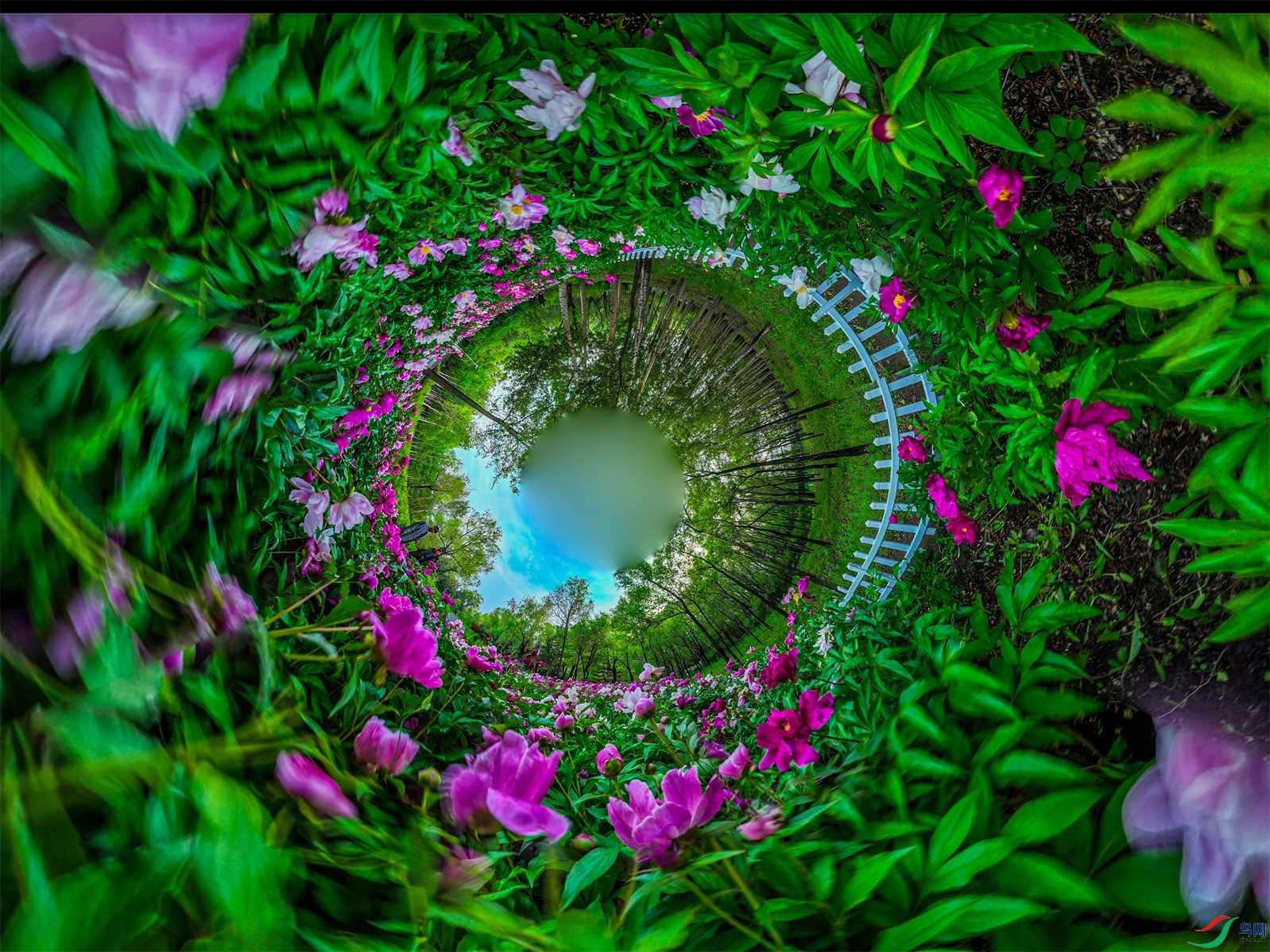 dji_export_20240605_200051_1717588851264_sphere_screenshot ����1.jpg