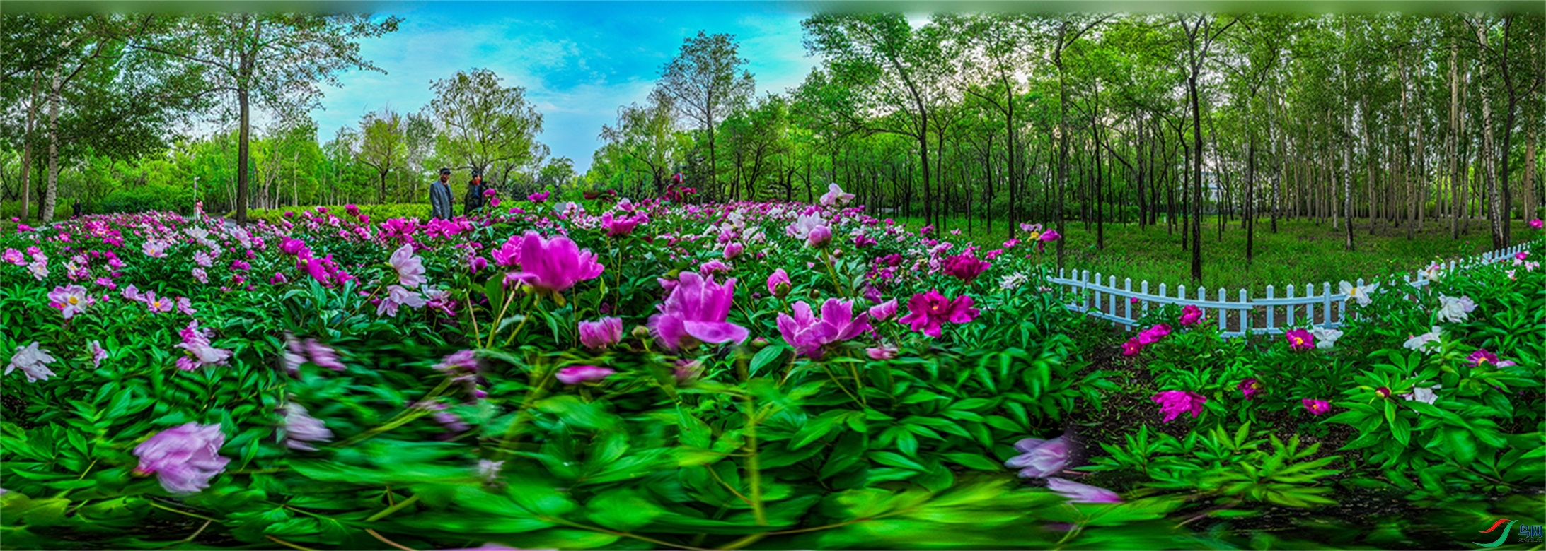 dji_fly_20240605_184518_237_1717588876899_pano ����2.jpg