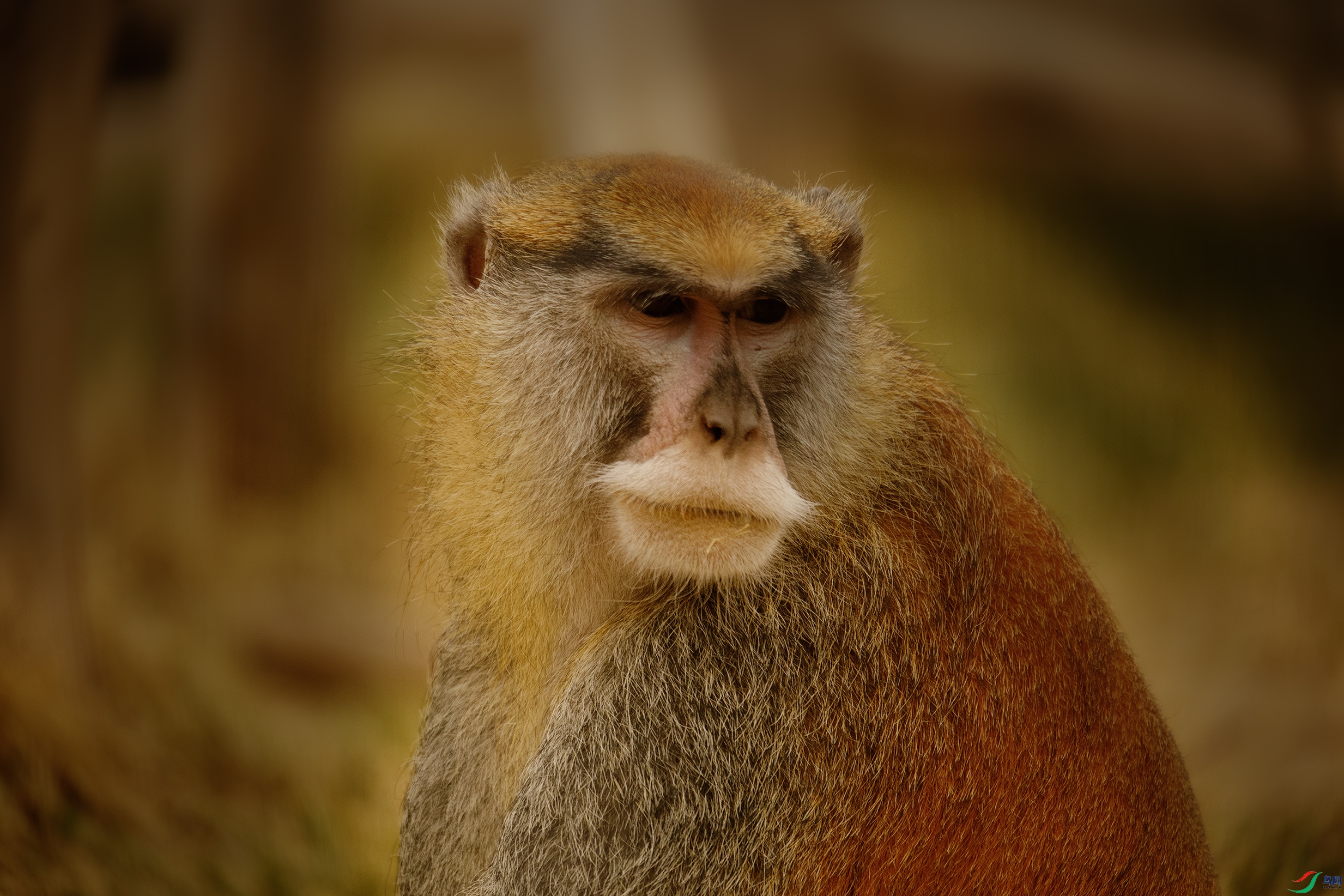 000A6738 ��33333.jpg