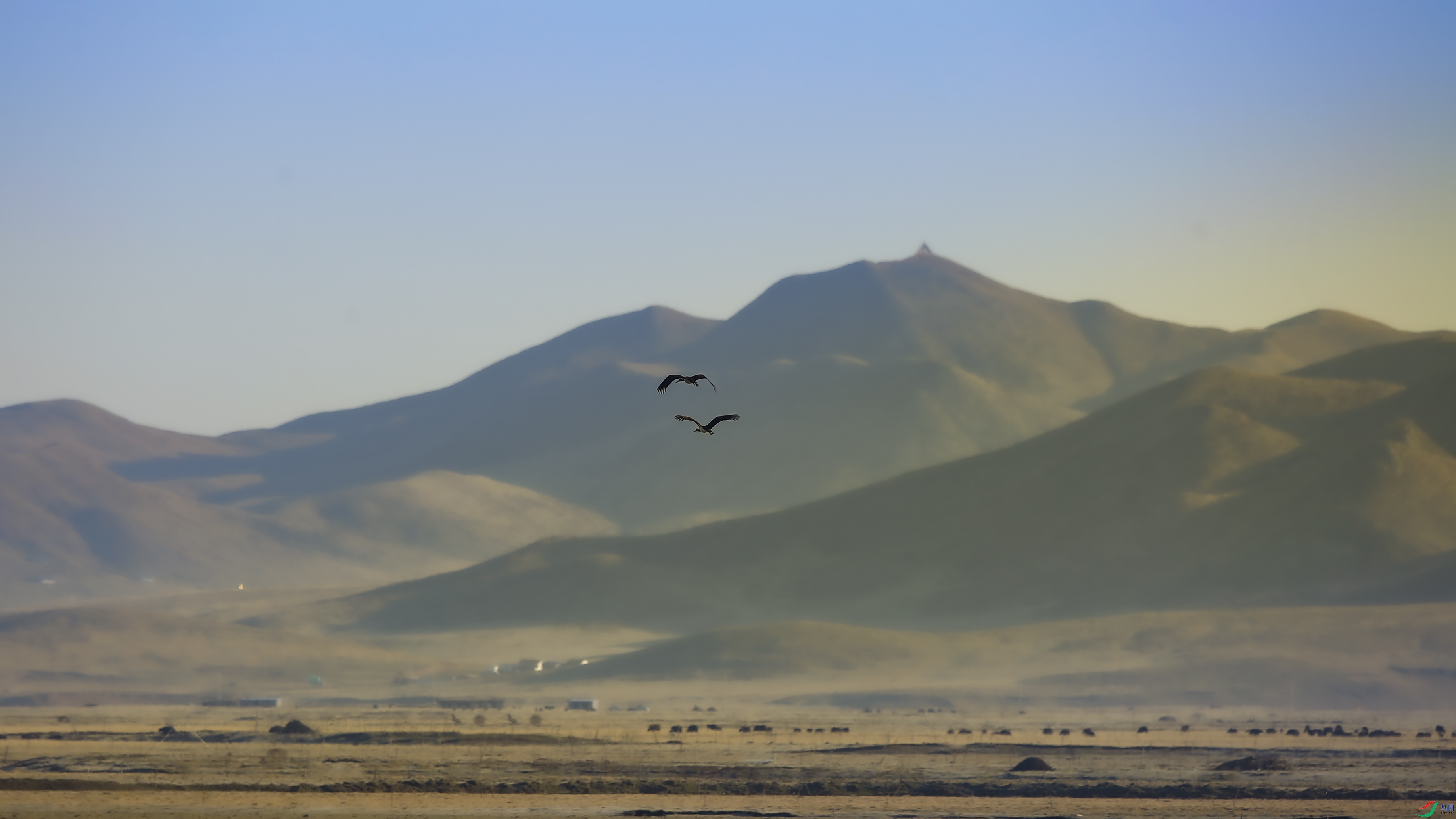 _39A1568 ��8888.jpg