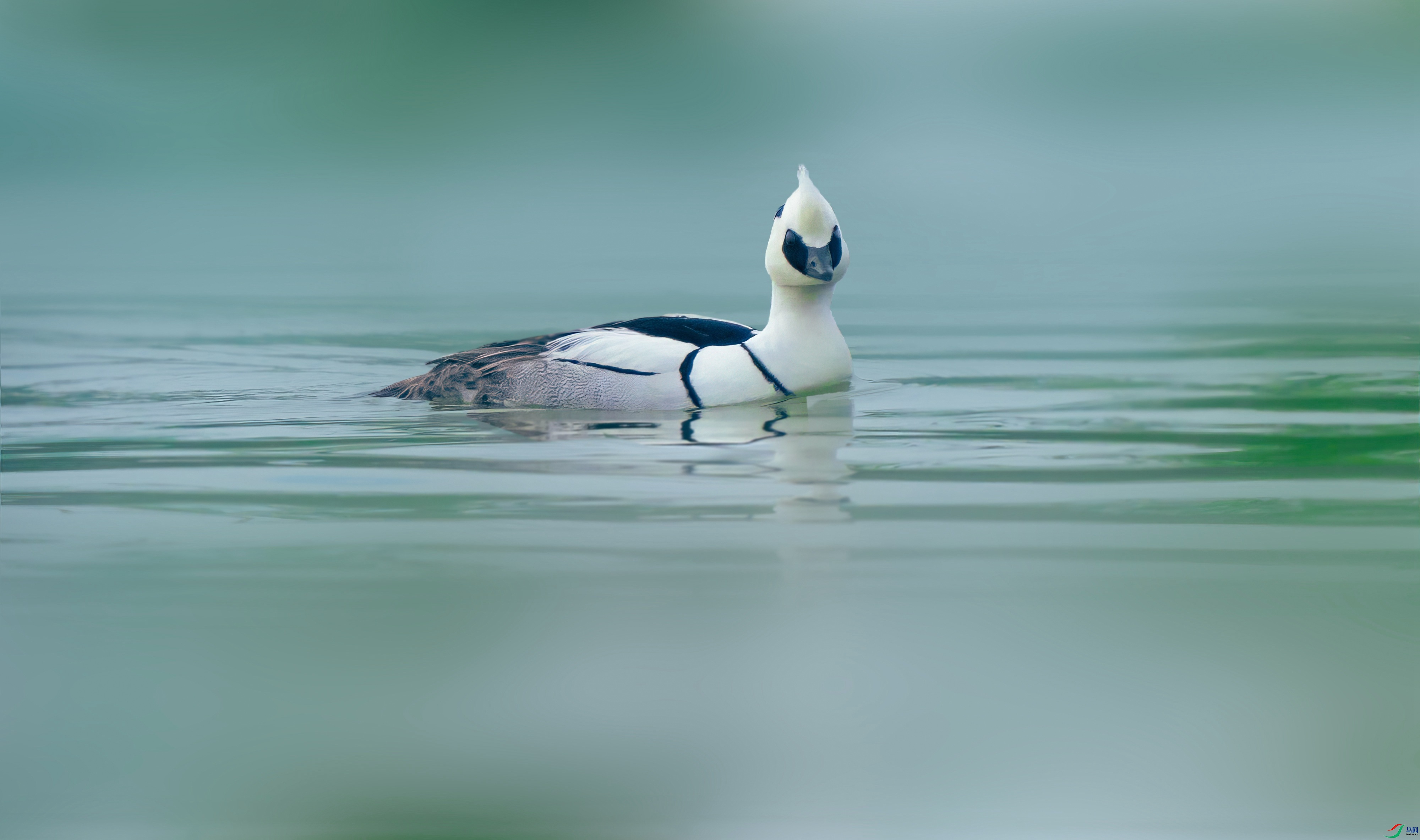 DSC_0734--.jpg