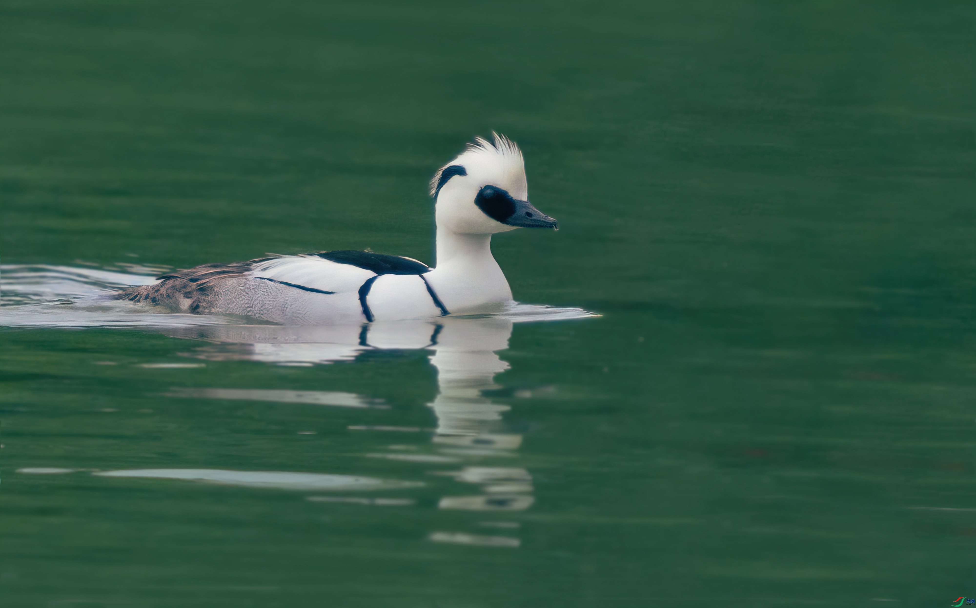 DSC_0731--.jpg