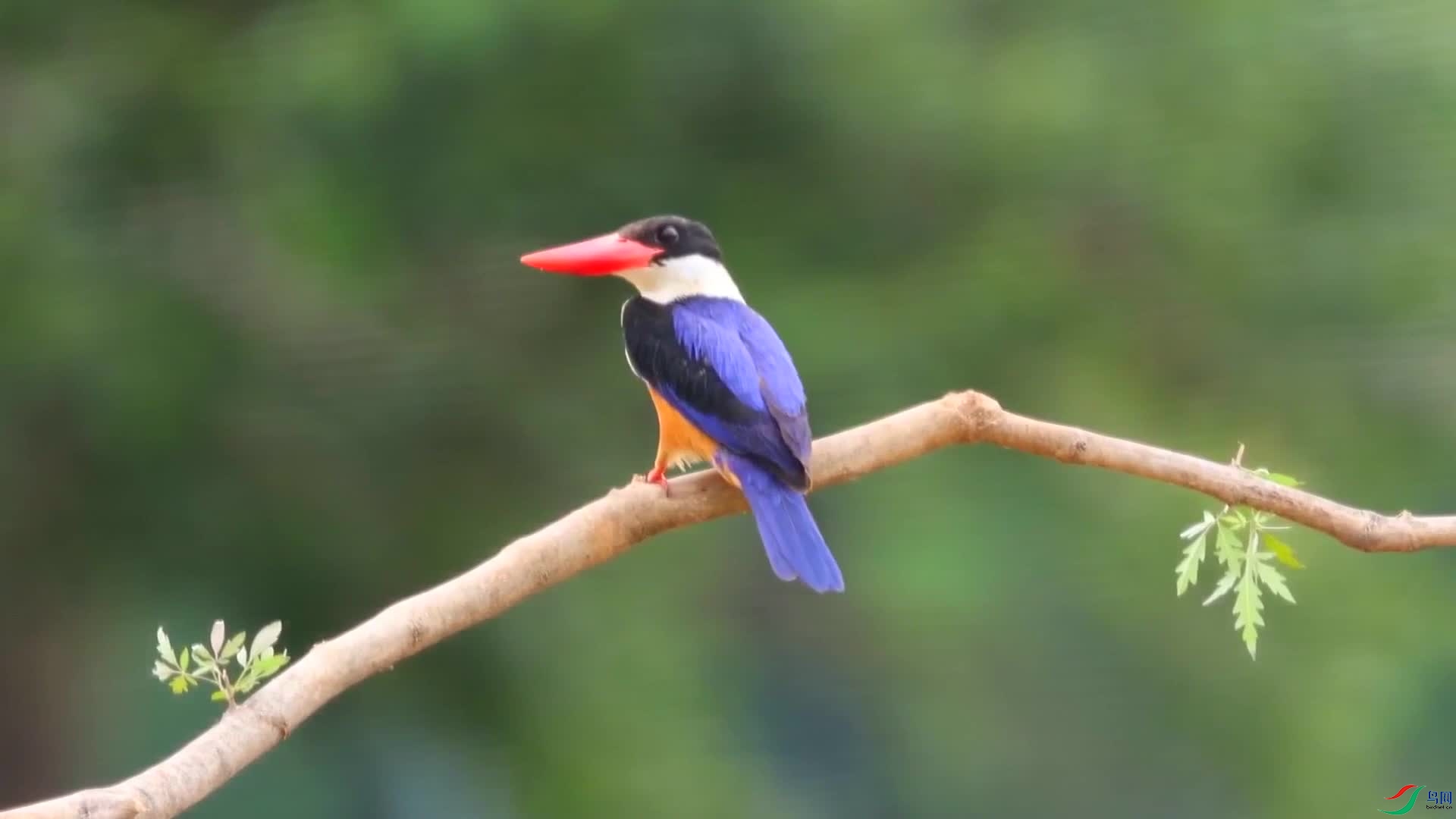 image1.jpg